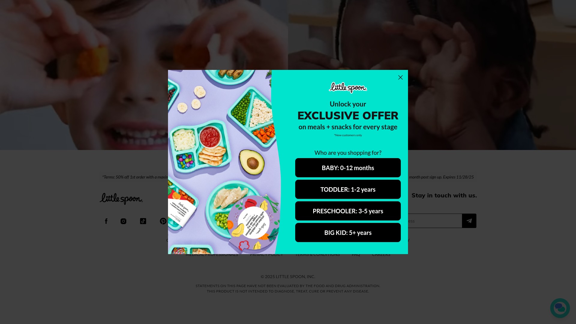 Screenshot of littlespoon.com