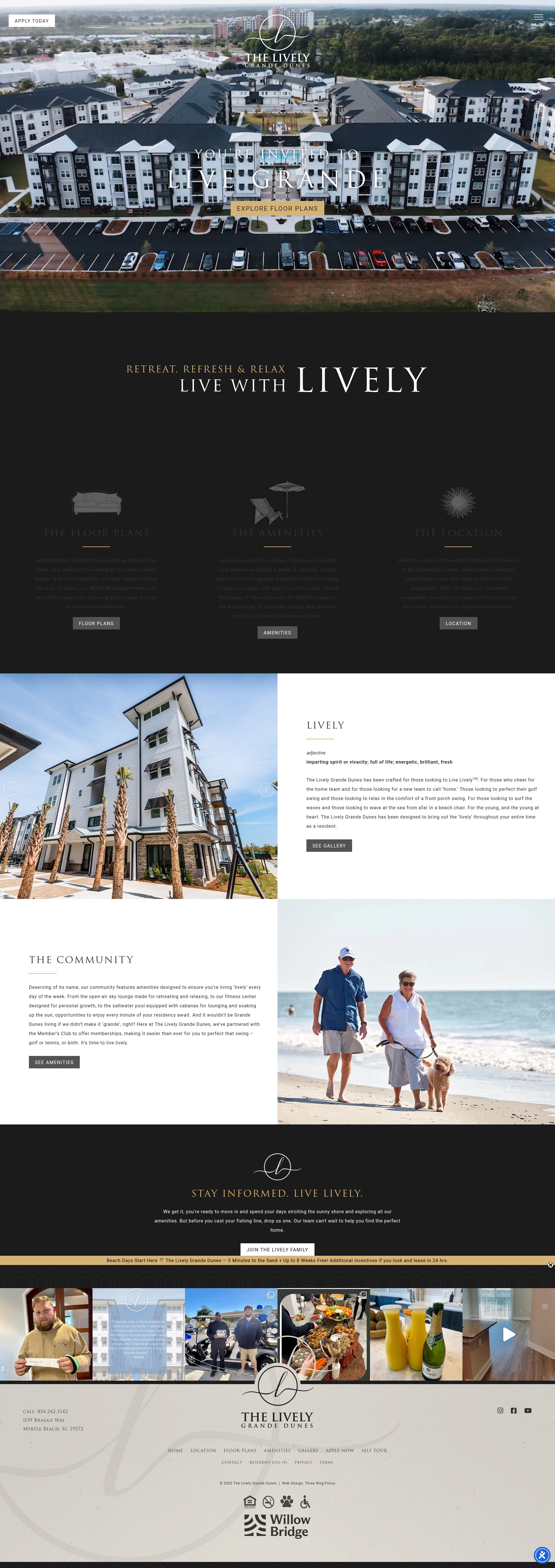 Screenshot of livelygrandedunes.com