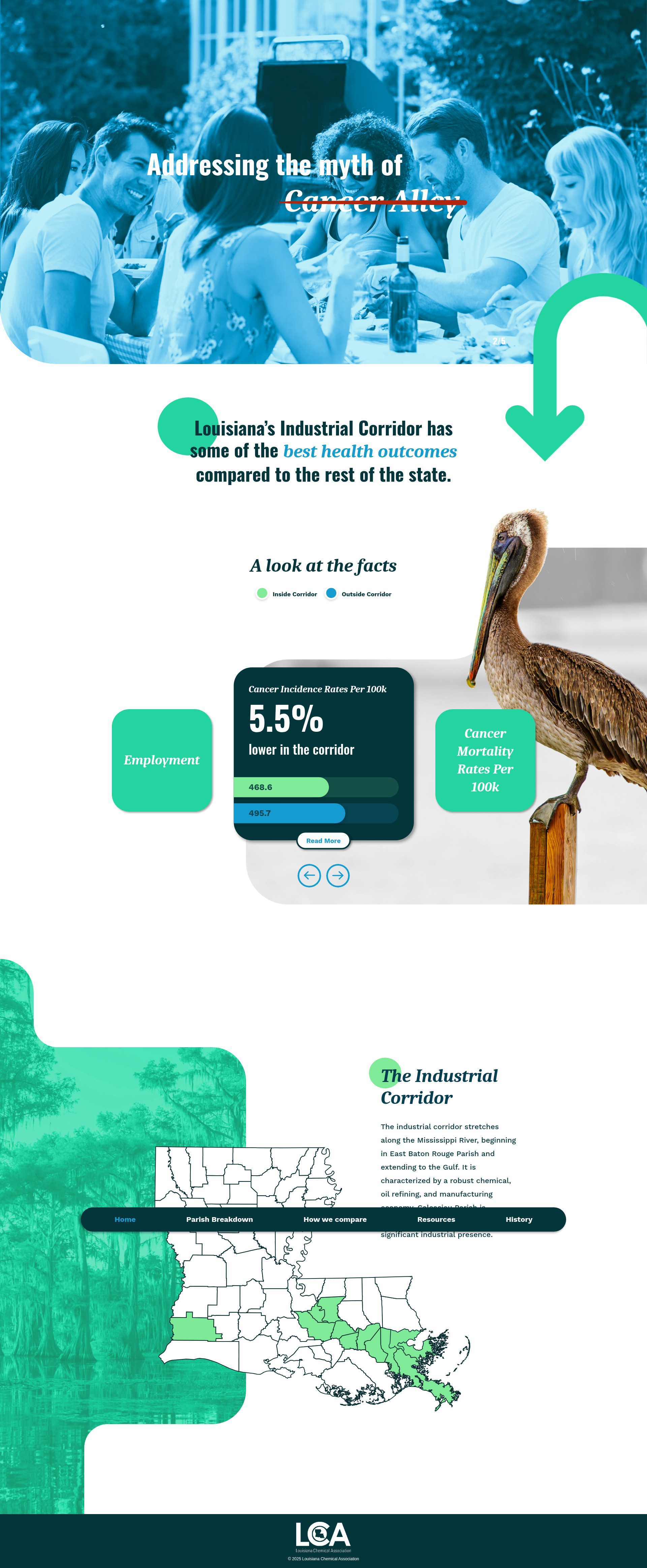 Screenshot of louisianahealthfacts.com