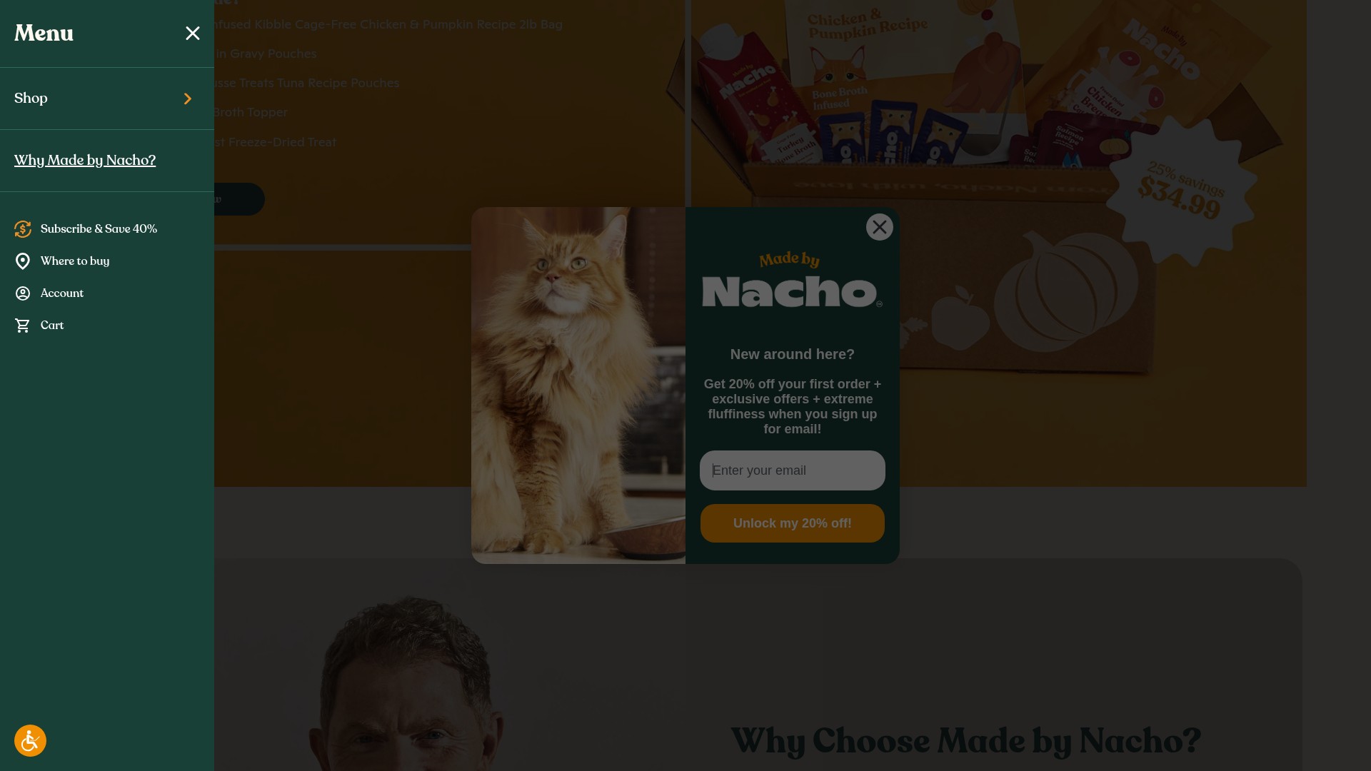 Screenshot of madebynacho.com