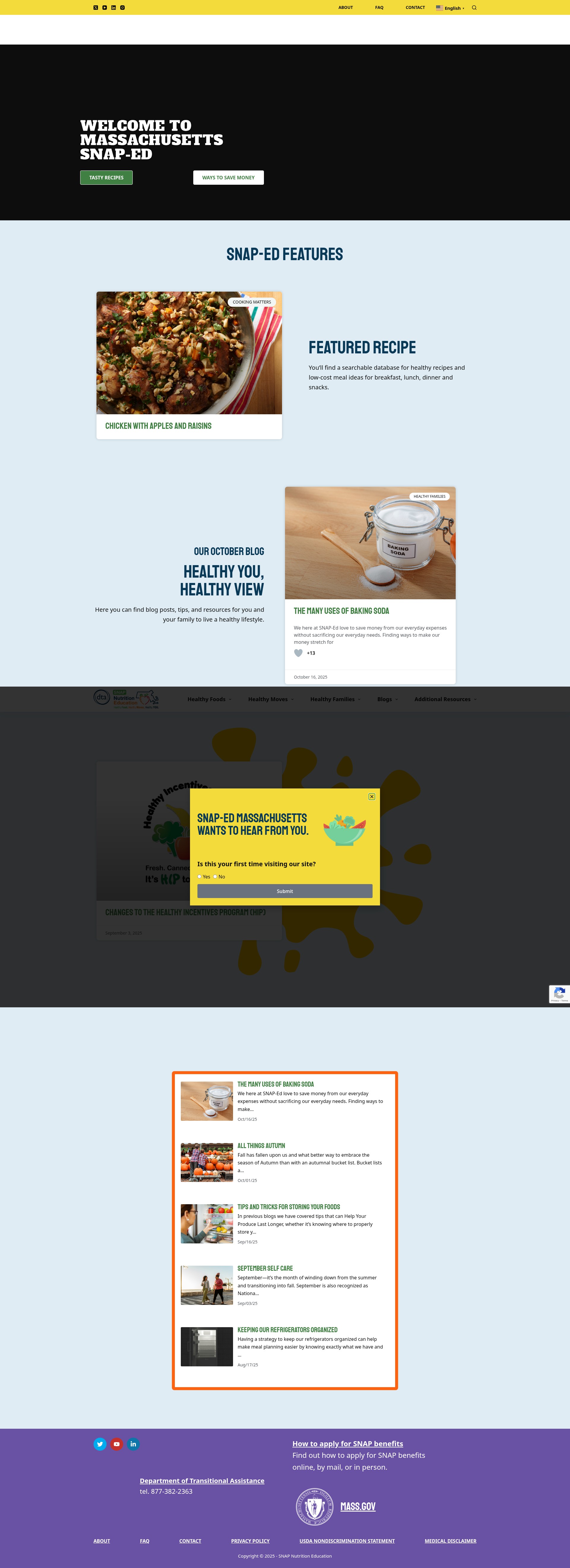 Screenshot of masnaped.org