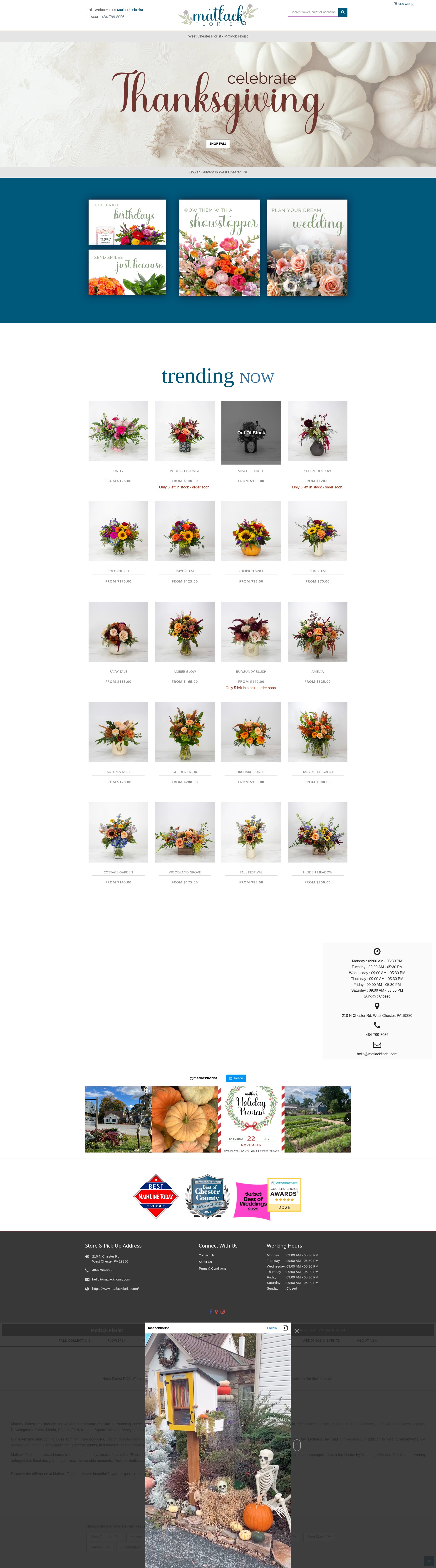 Screenshot of matlackflorist.com