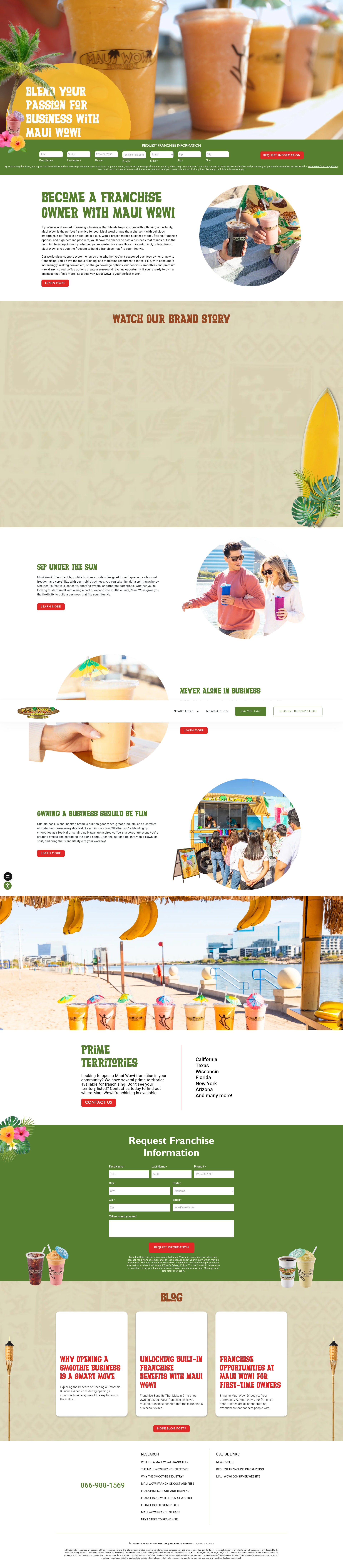 Screenshot of mauiwowifranchise.com