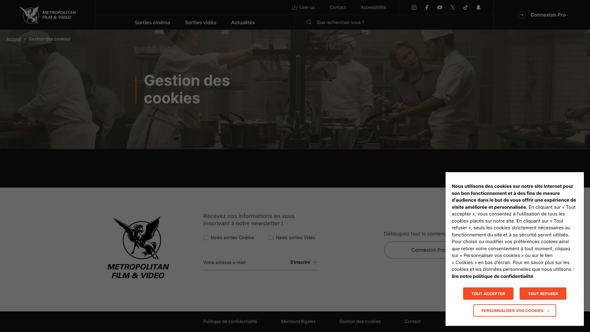 Screenshot of metrofilms.com