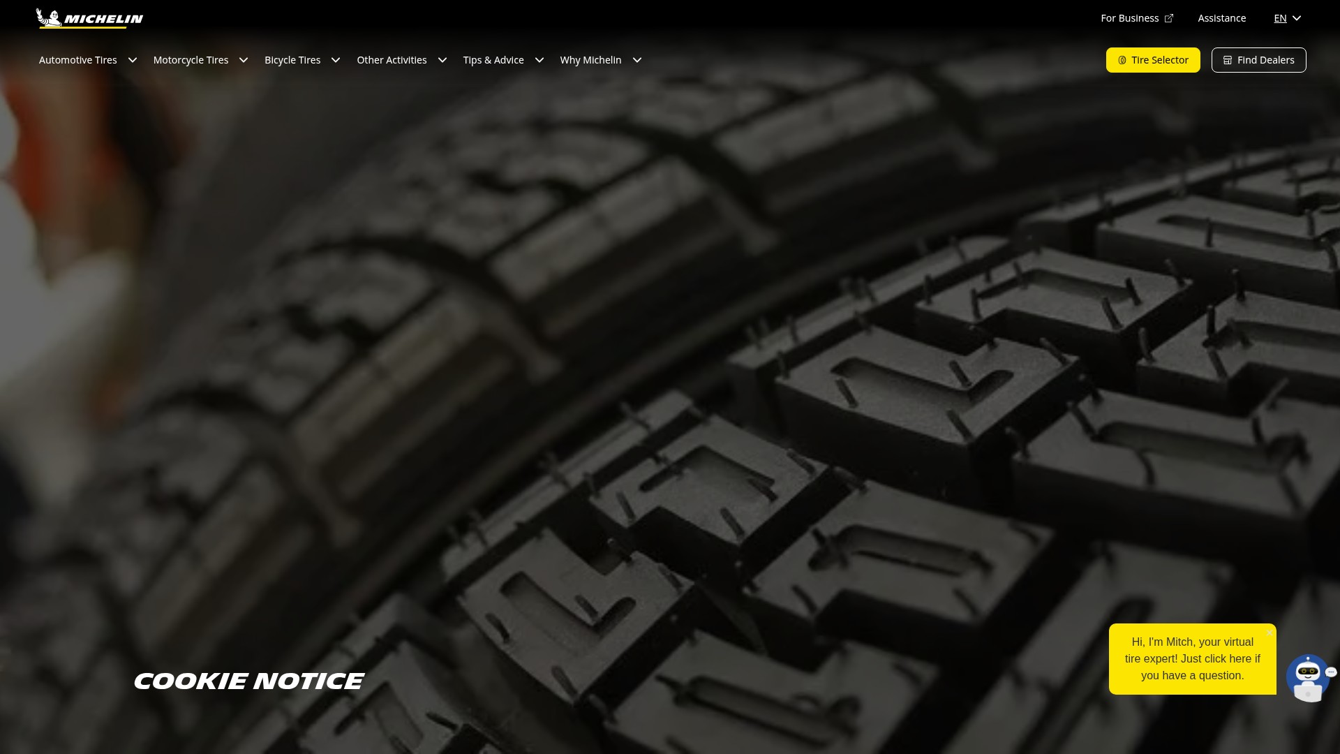 Screenshot of michelin.ca