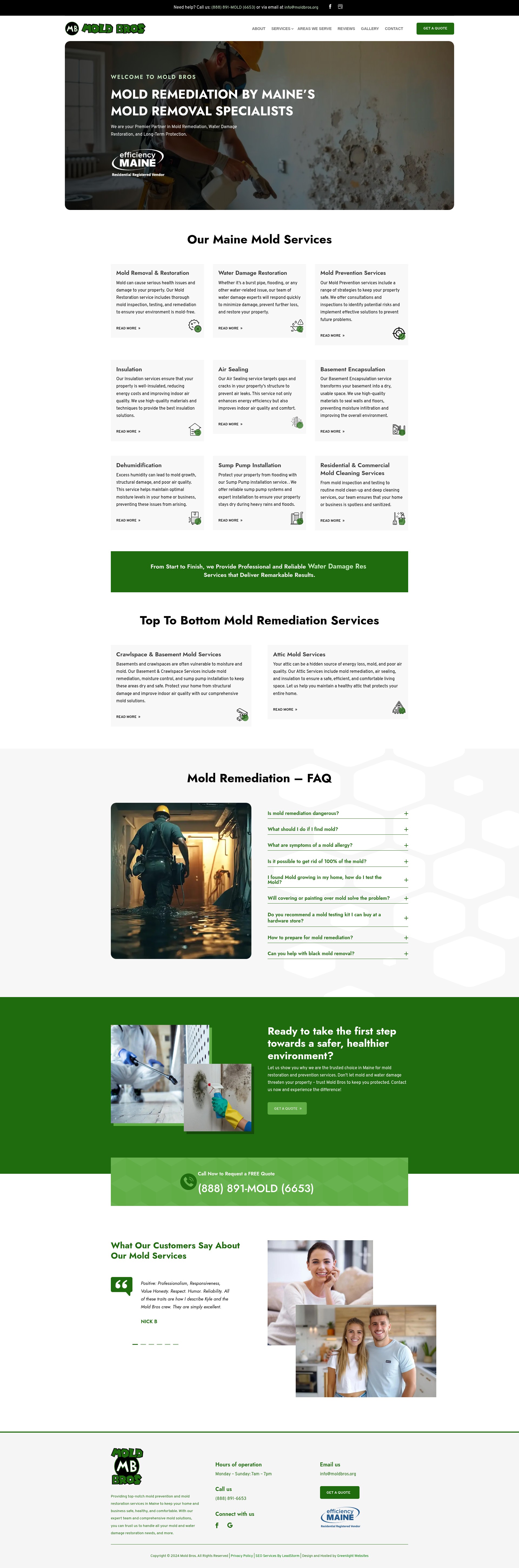 Screenshot of moldbros.org