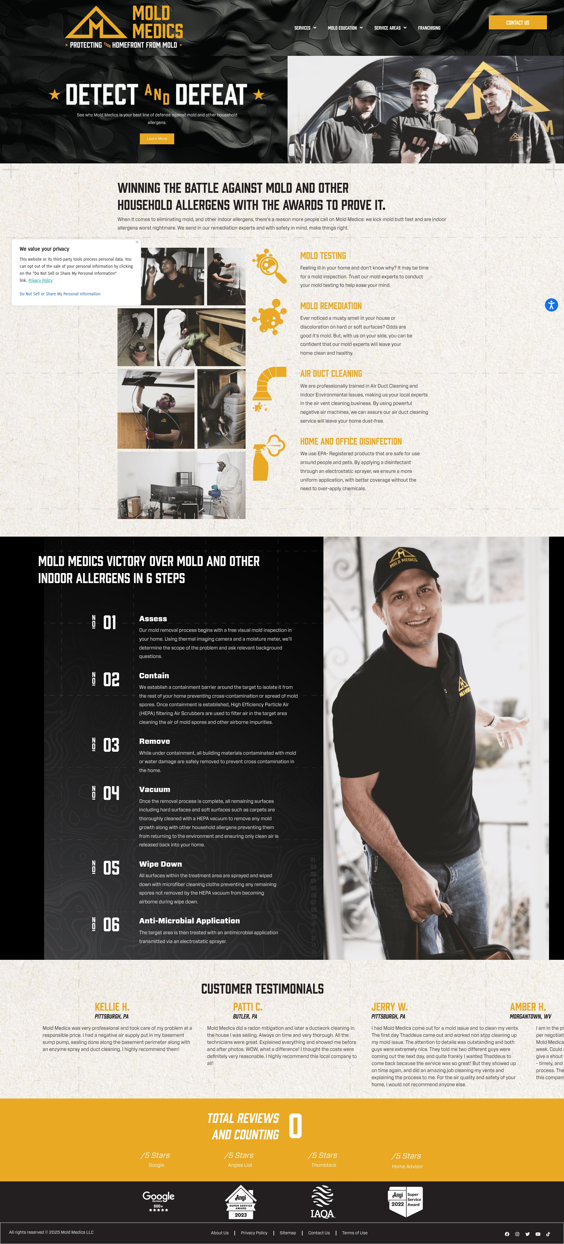 Screenshot of moldmedics.com