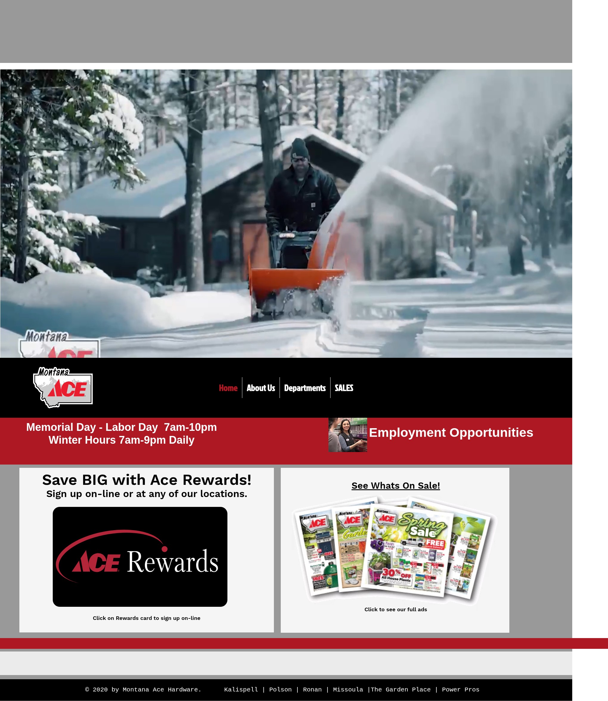 Screenshot of montanaace.com