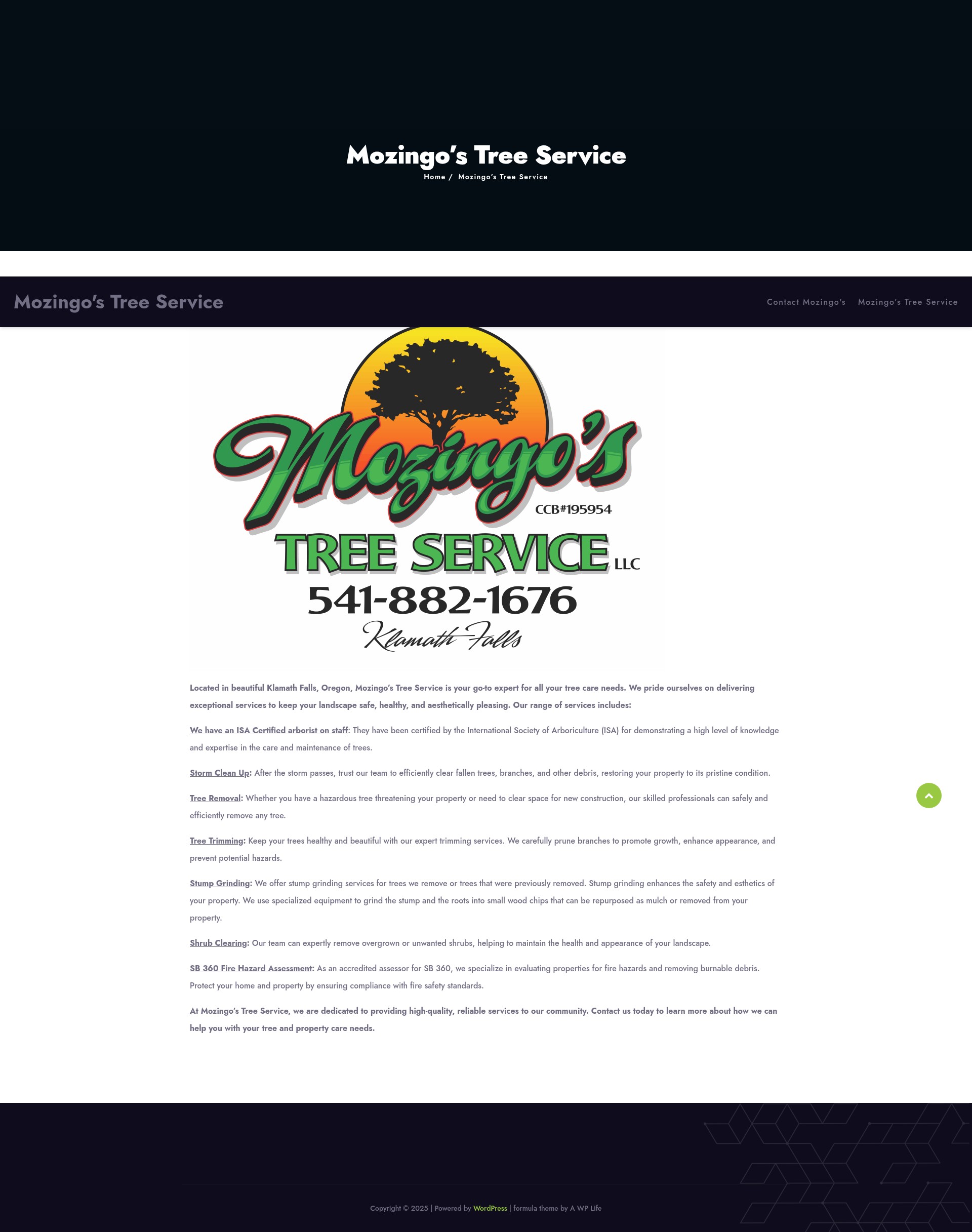 Screenshot of mozingos.com