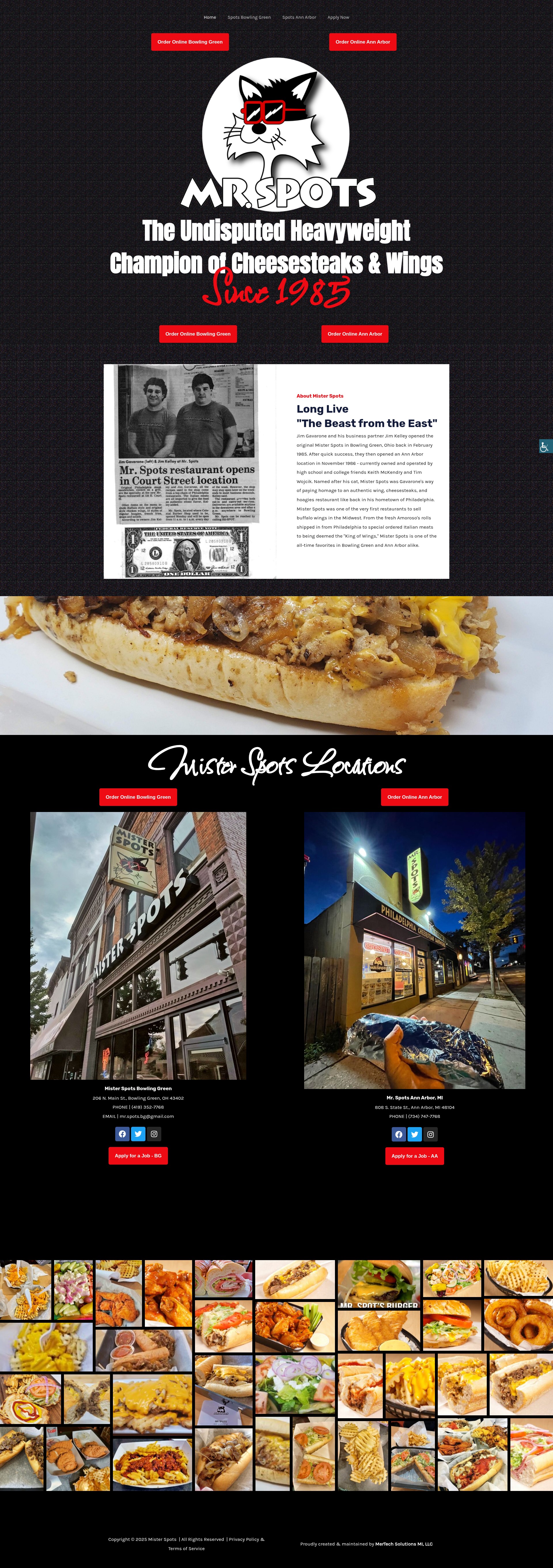 Screenshot of mrspots.com