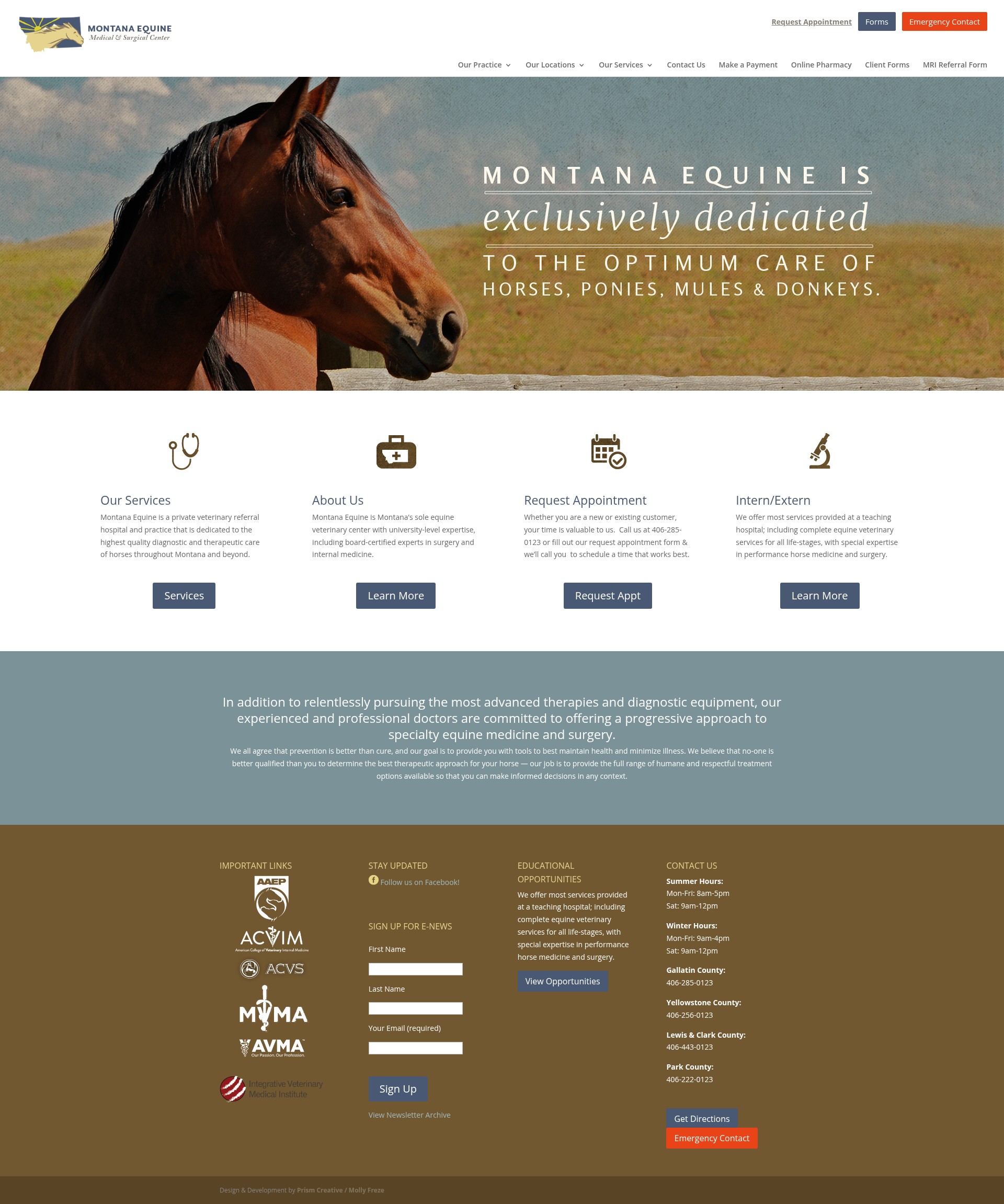 Screenshot of mtequine.com