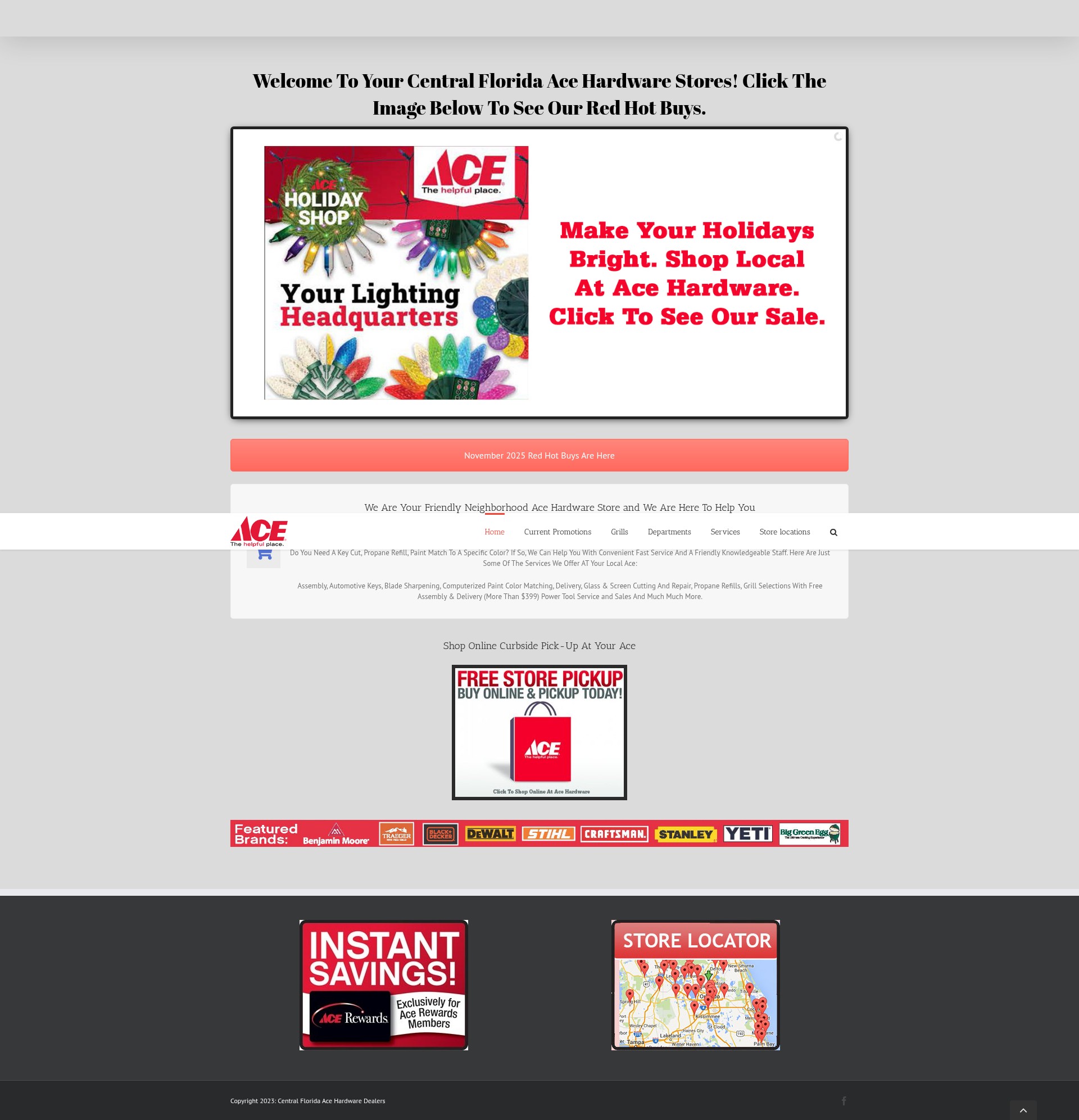 Screenshot of myacefl.com