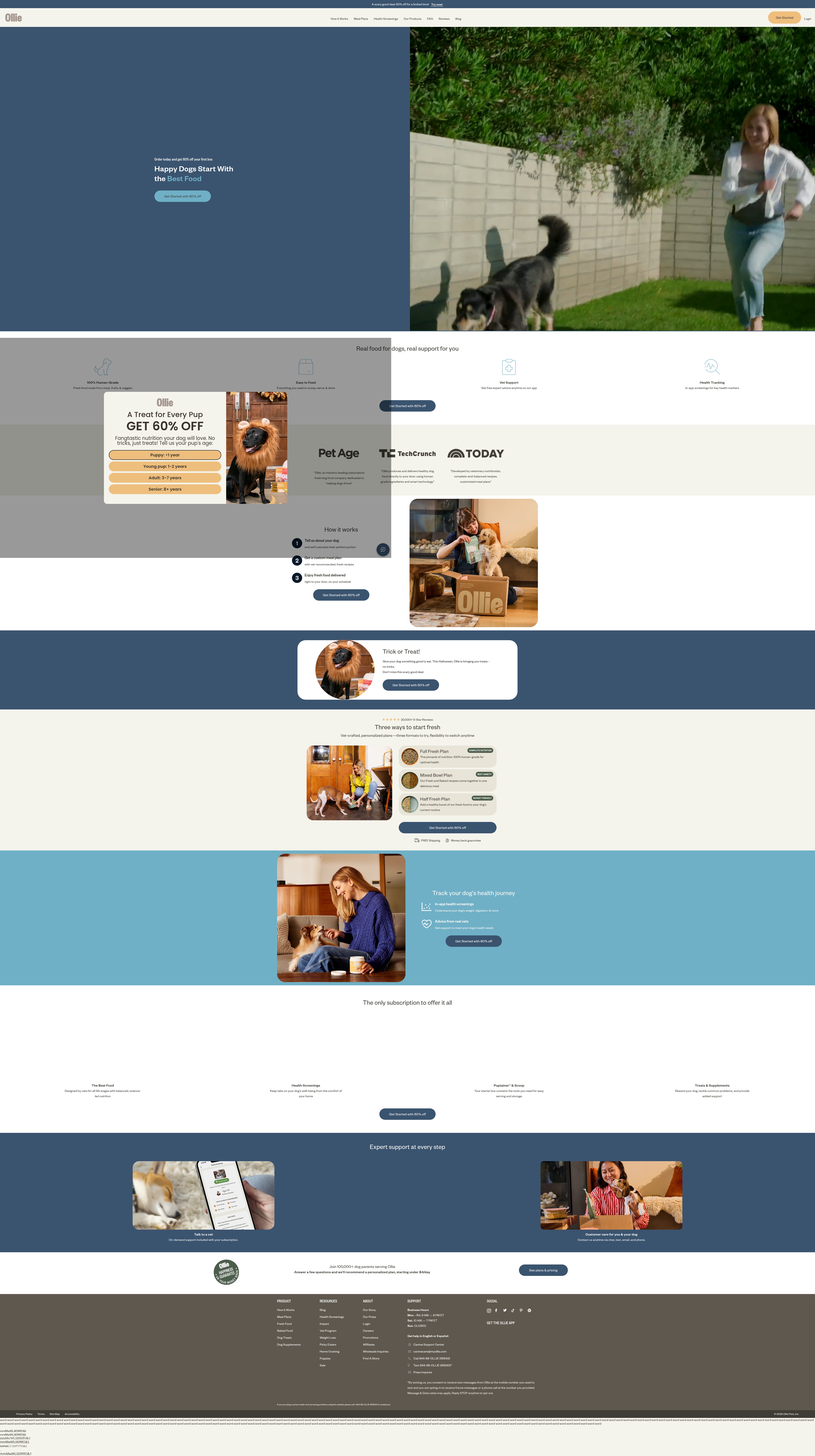 Screenshot of myollie.com