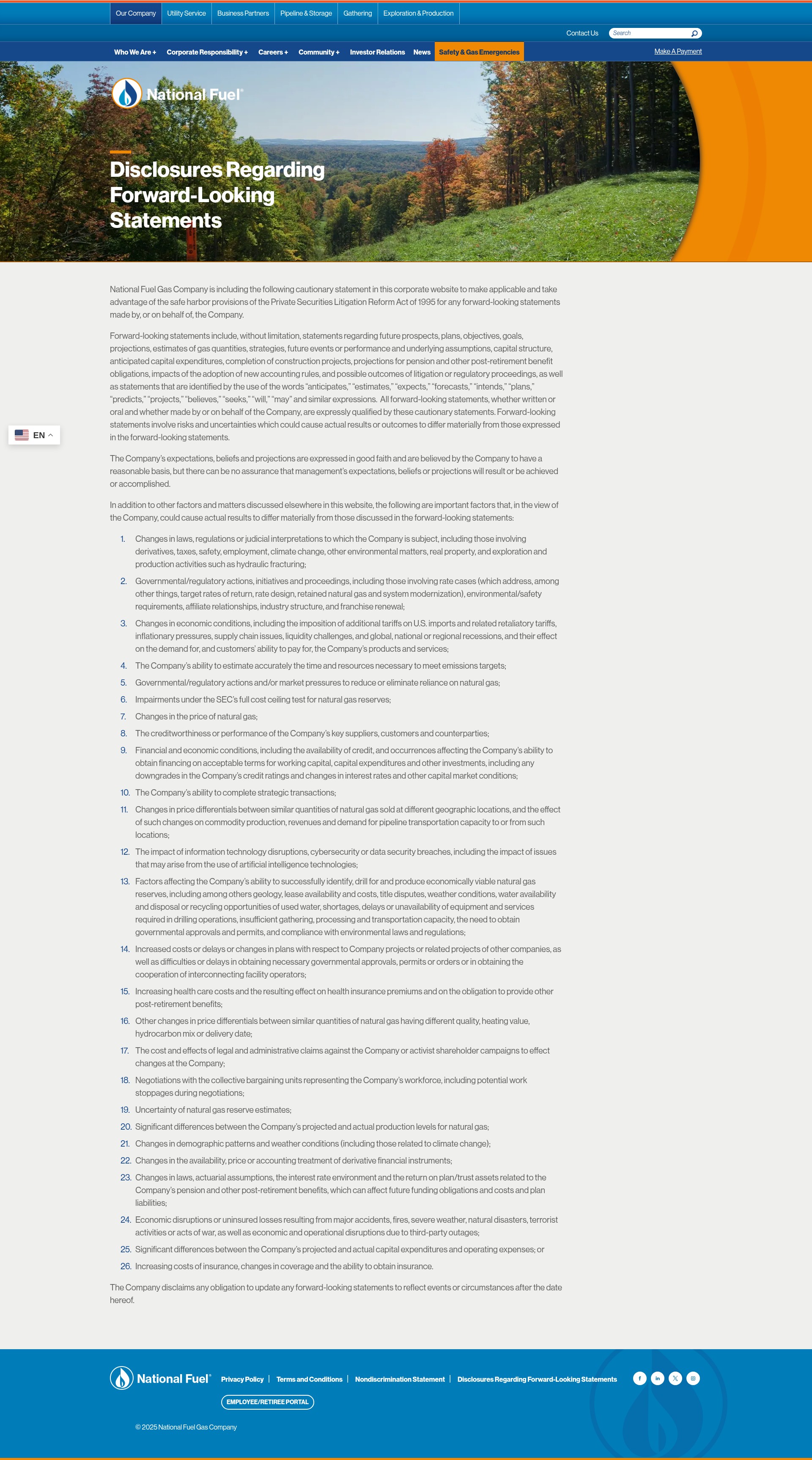 Screenshot of nationalfuel.com