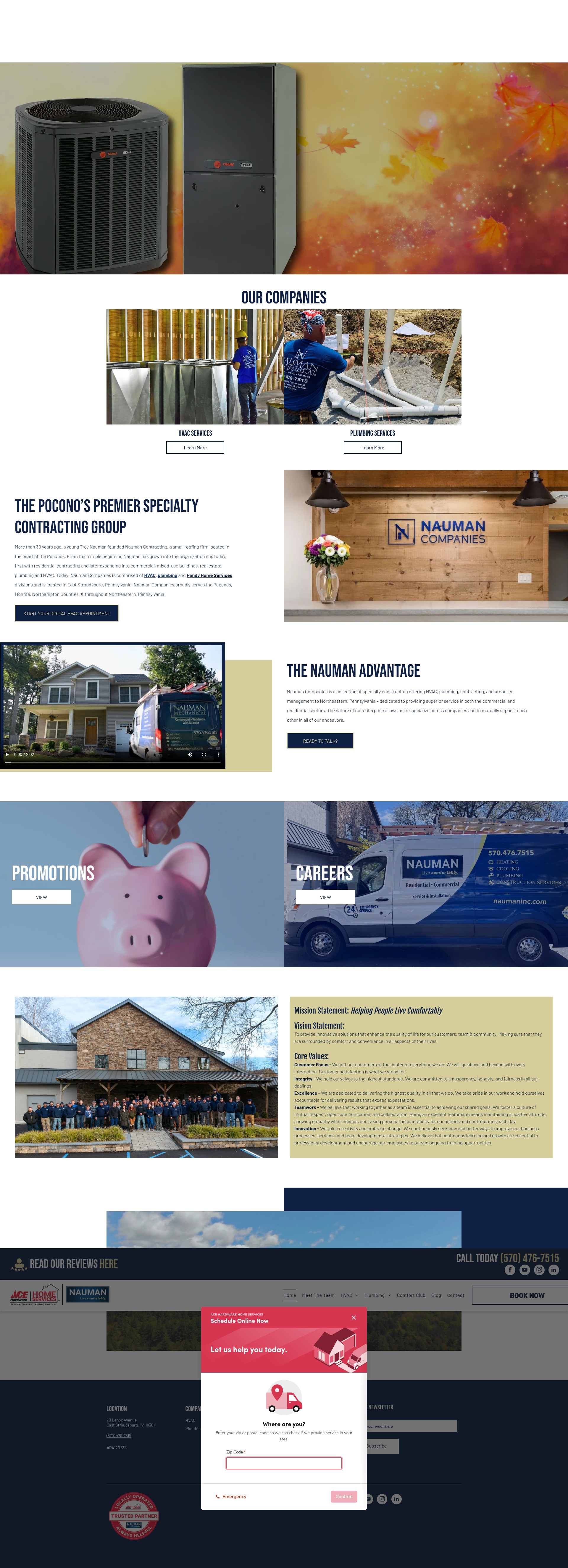 Screenshot of naumaninc.com