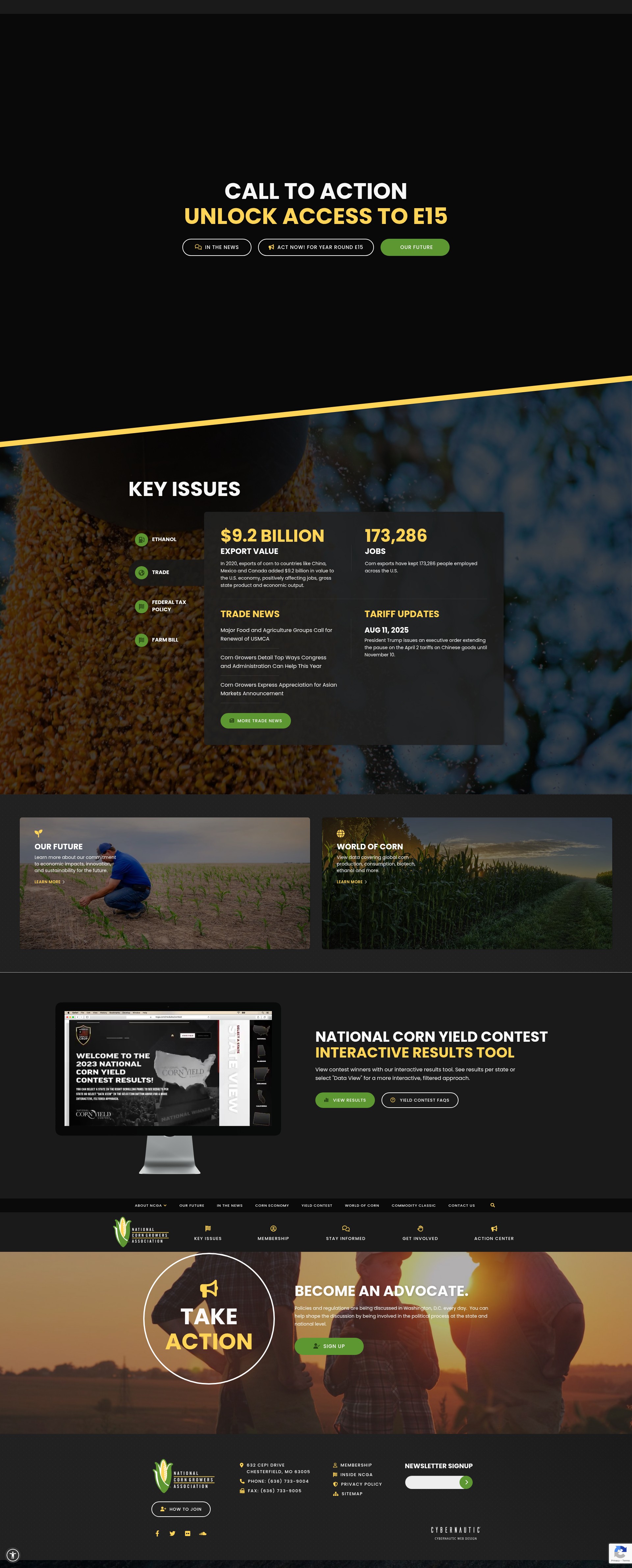 Screenshot of ncga.com