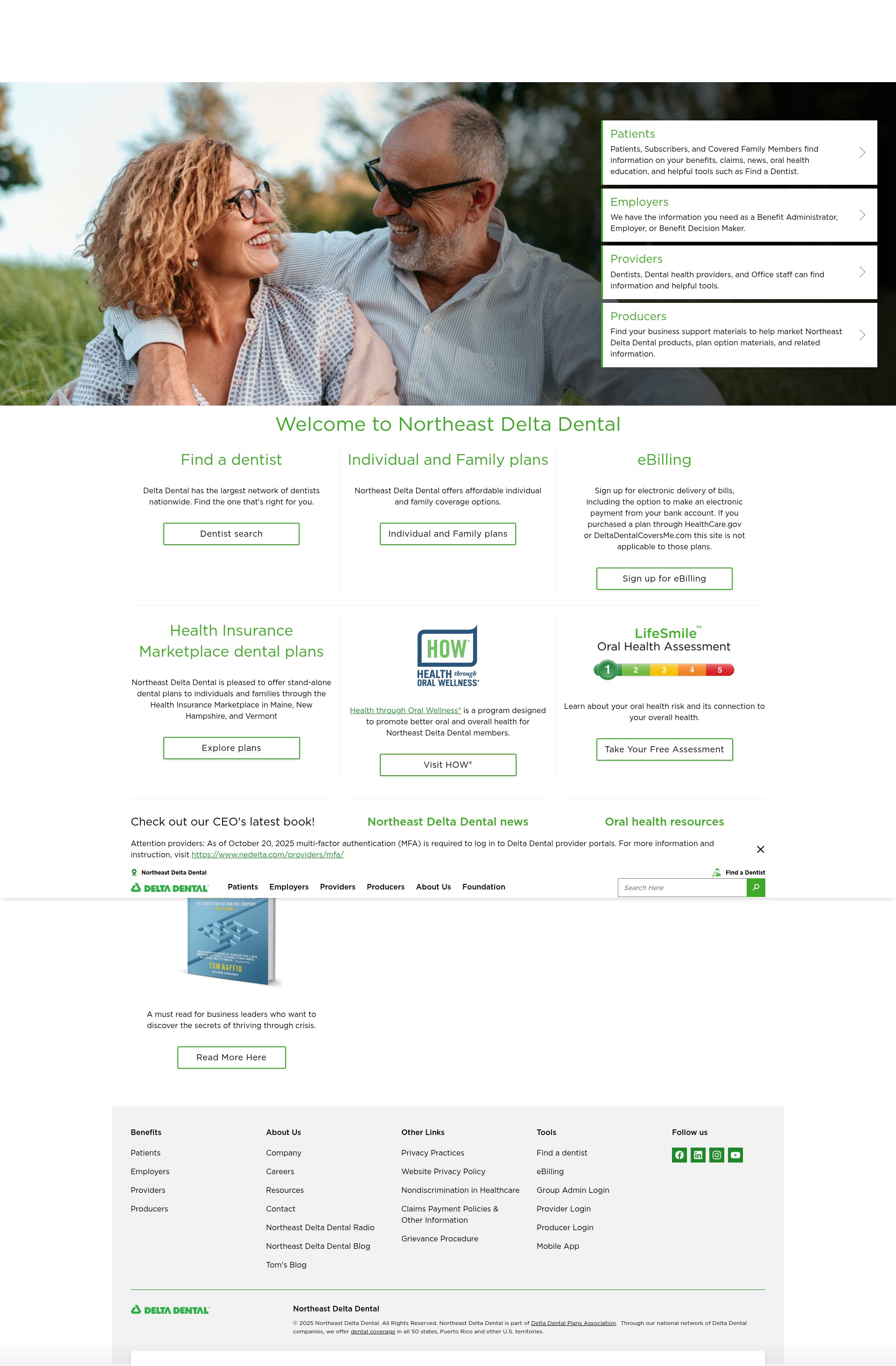 Screenshot of nedelta.com