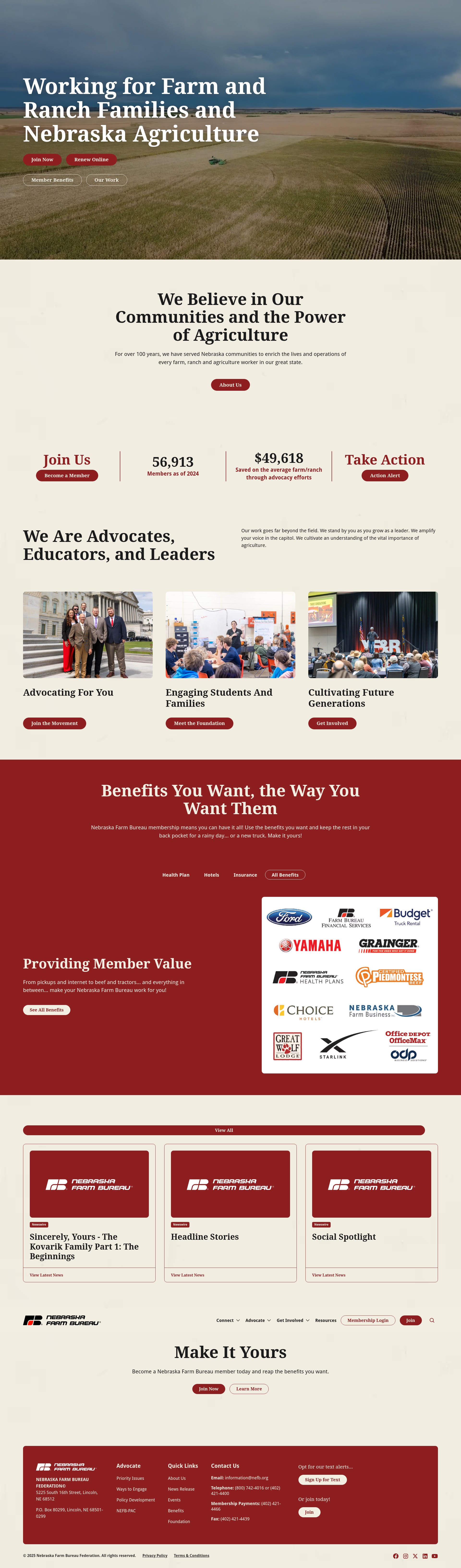 Screenshot of nefb.org