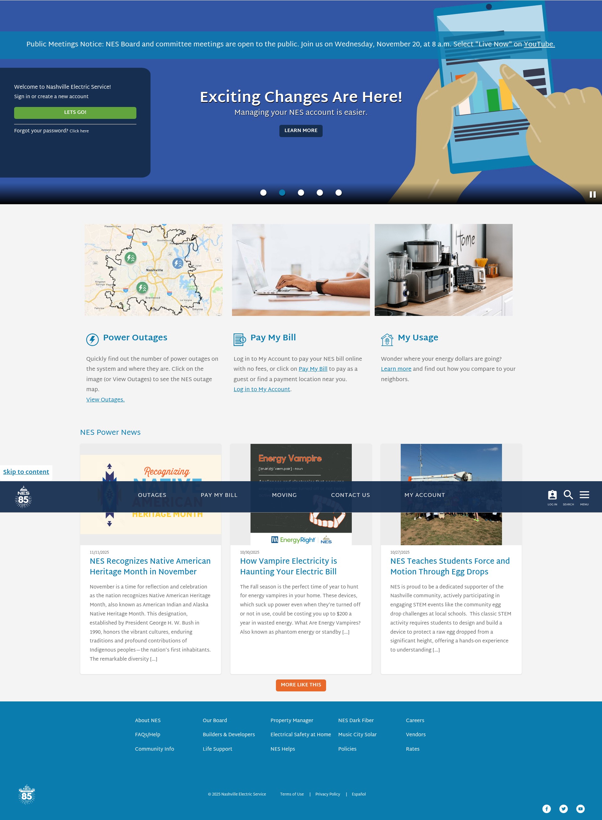 Screenshot of nespower.com