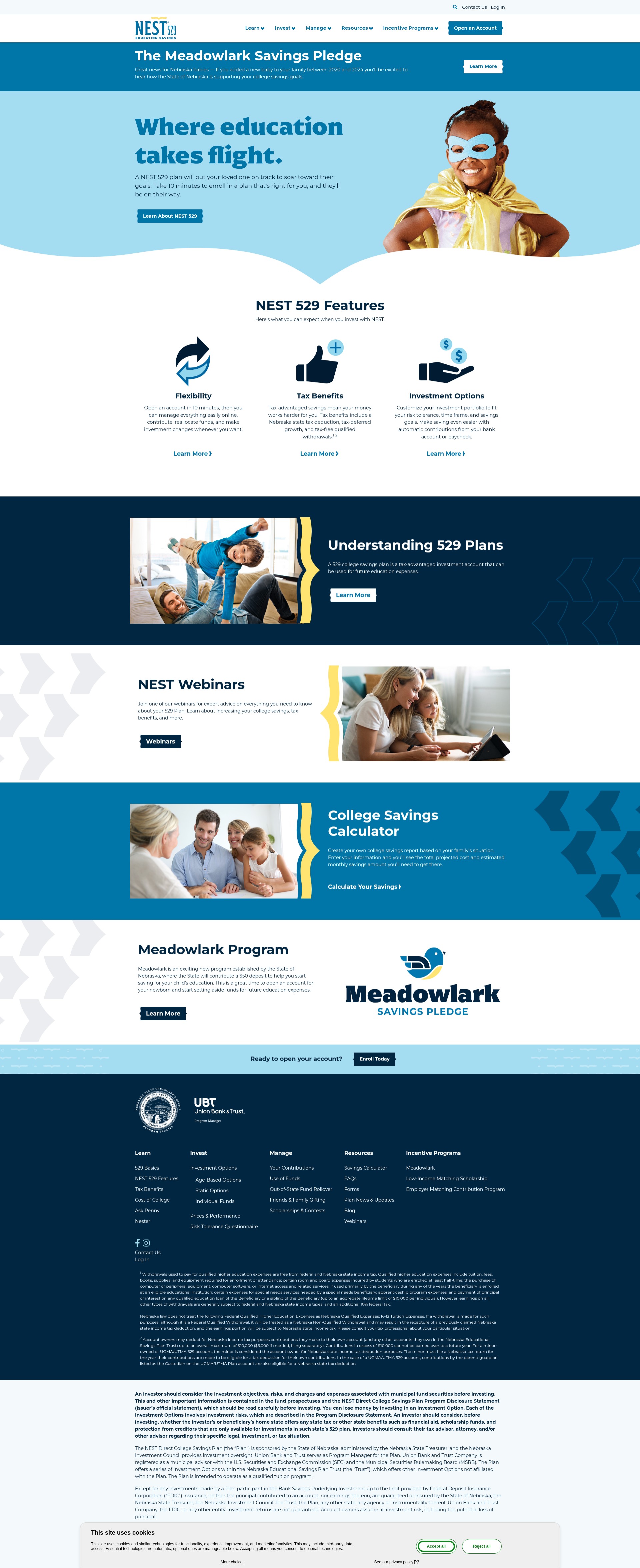 Screenshot of nest529.com