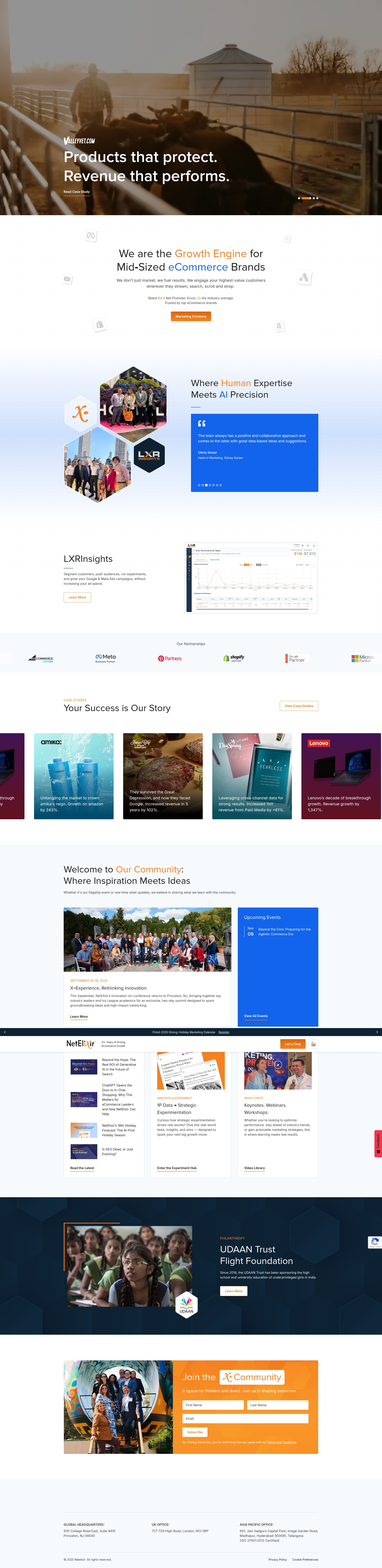 Screenshot of netelixir.com