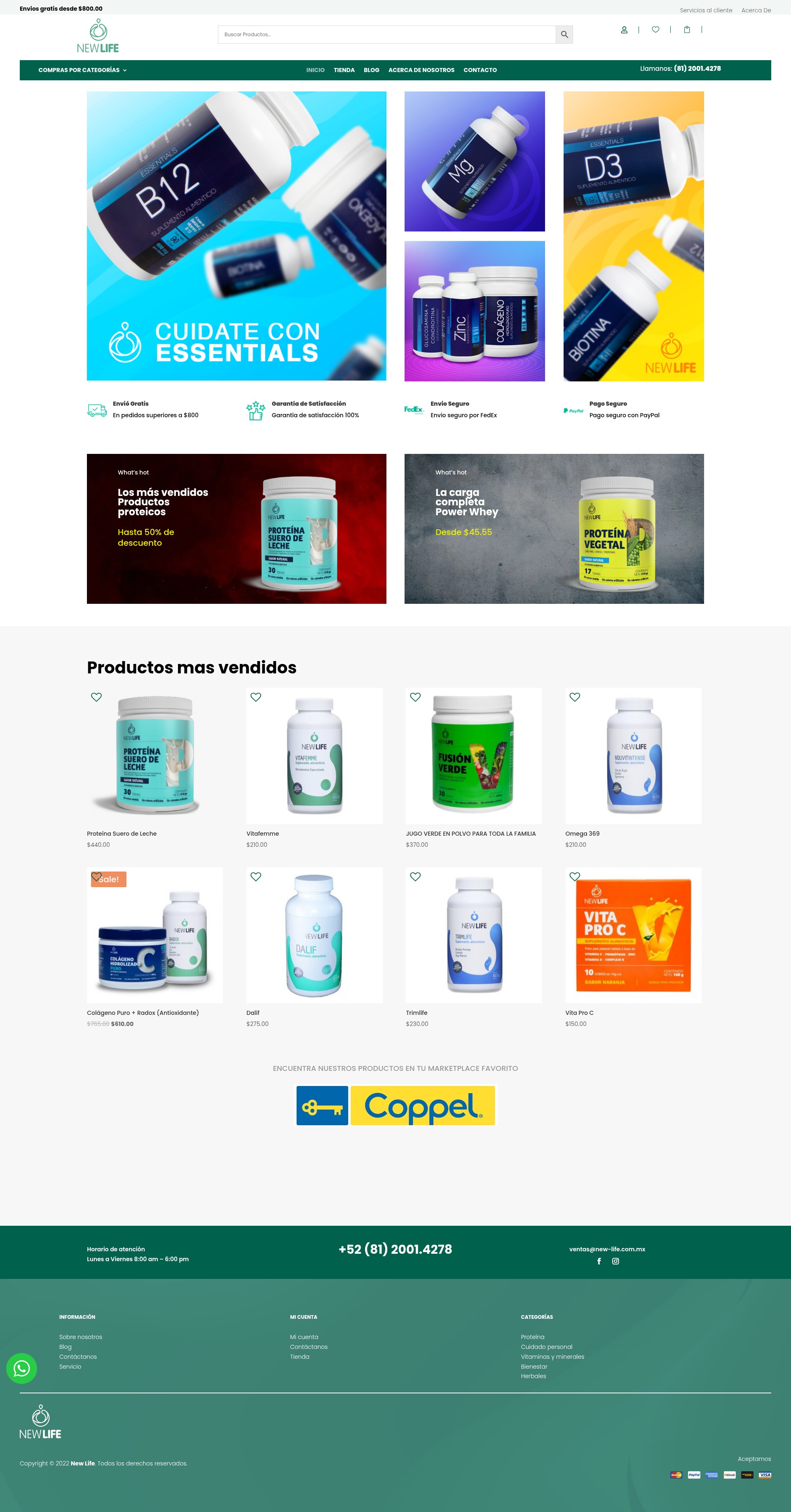Screenshot of new-life.com.mx
