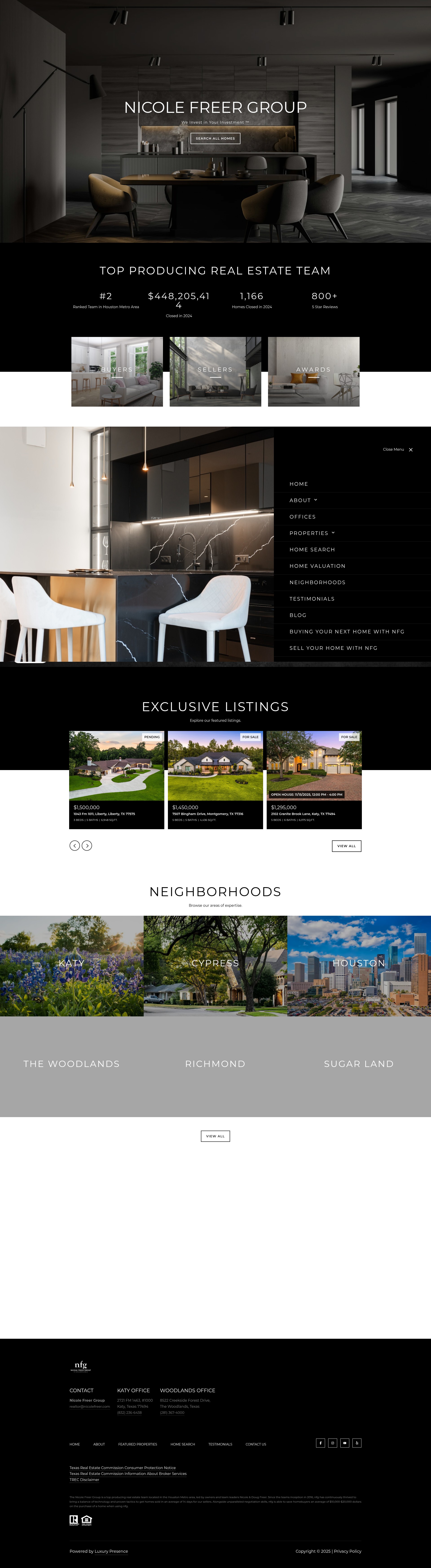 Screenshot of nicolefreergroup.com