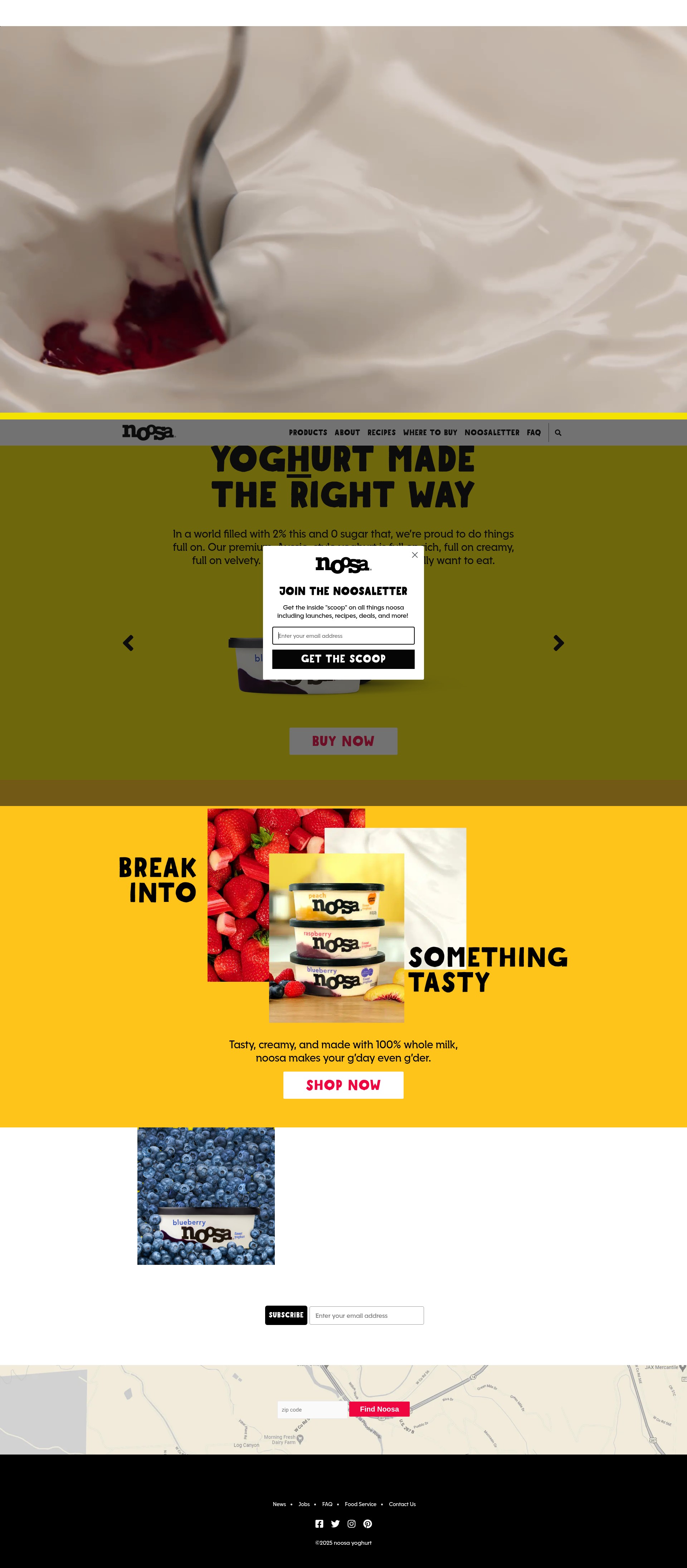 Screenshot of noosayoghurt.com