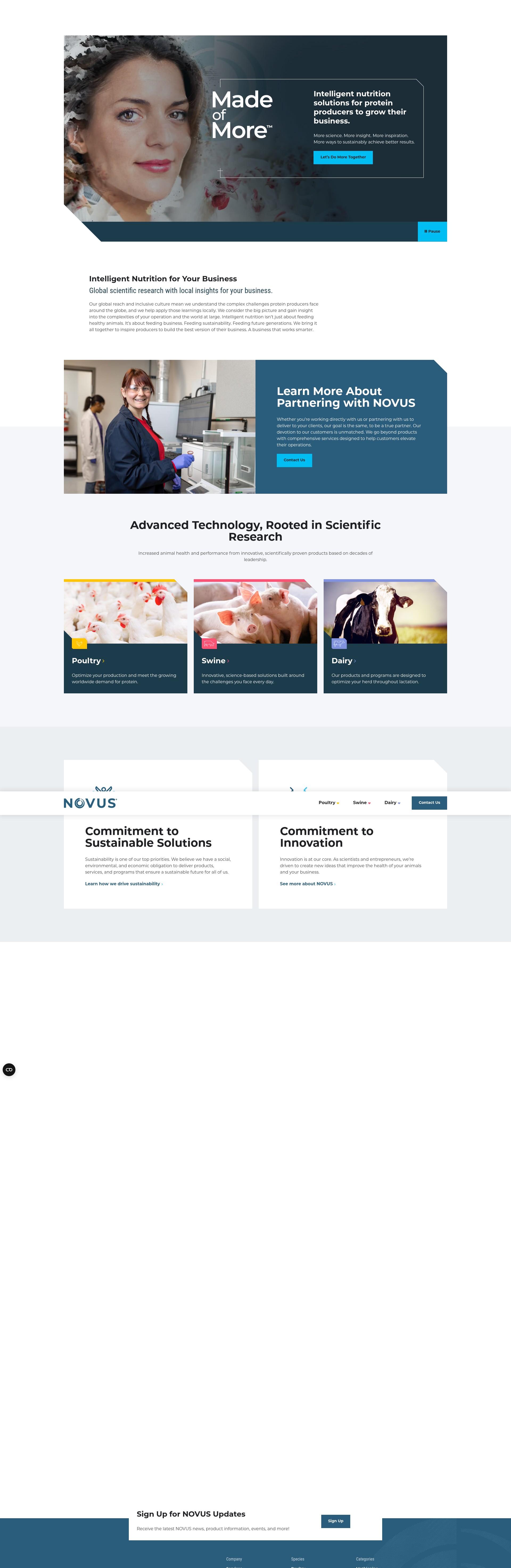Screenshot of novusint.com