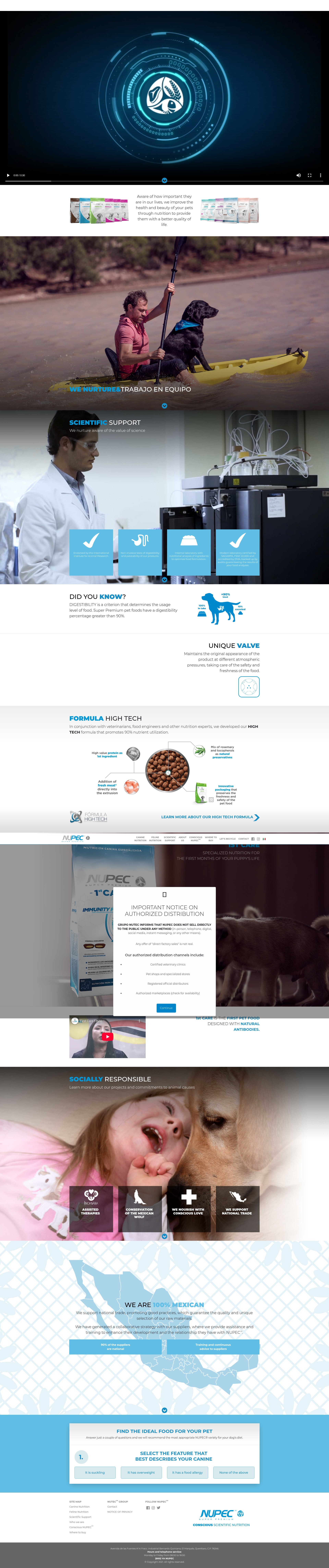 Screenshot of nupec.com