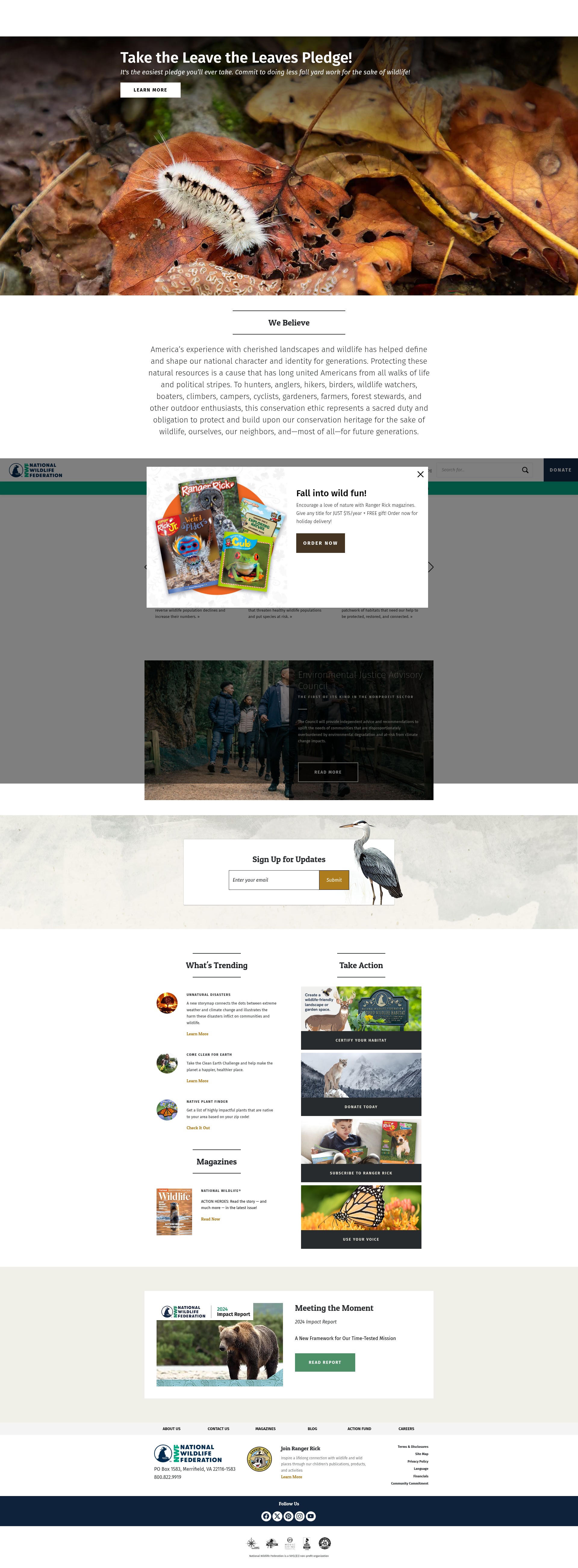 Screenshot of nwf.org