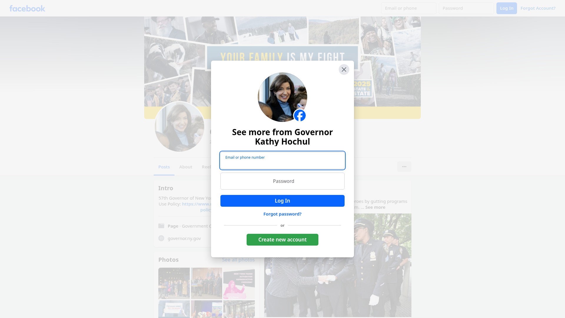 Screenshot of ny.gov
