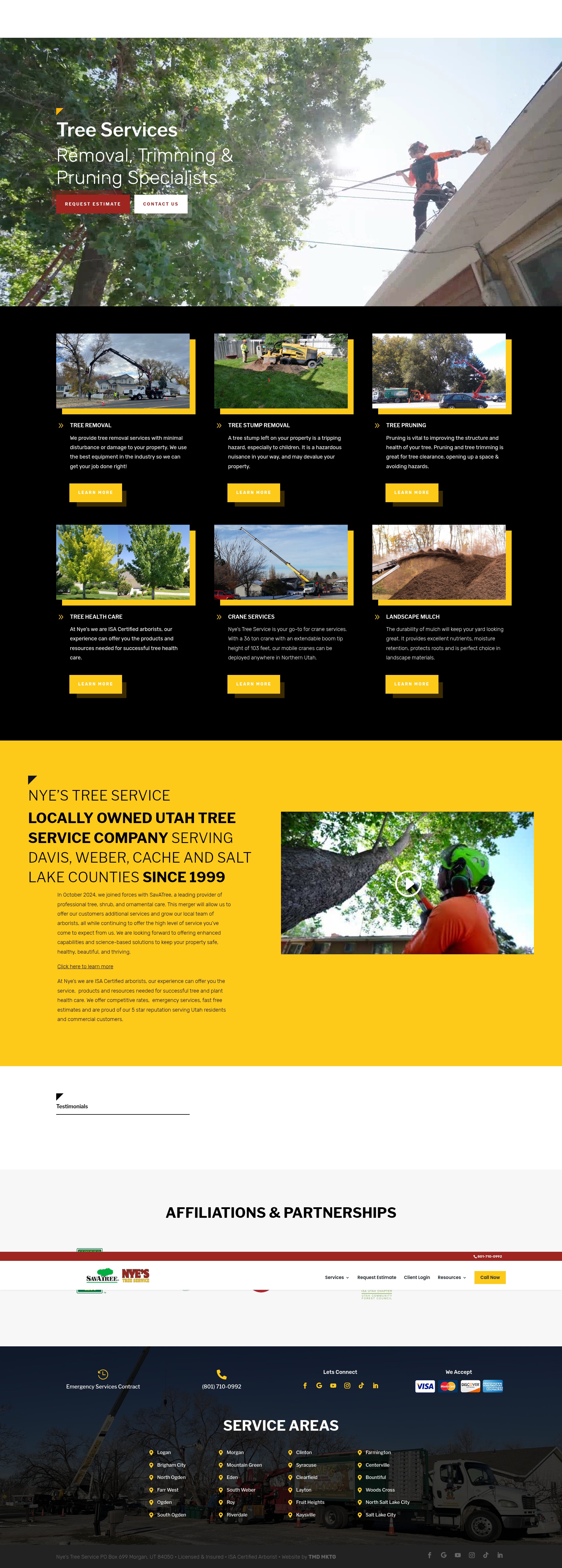 Screenshot of nyestreeservice.com