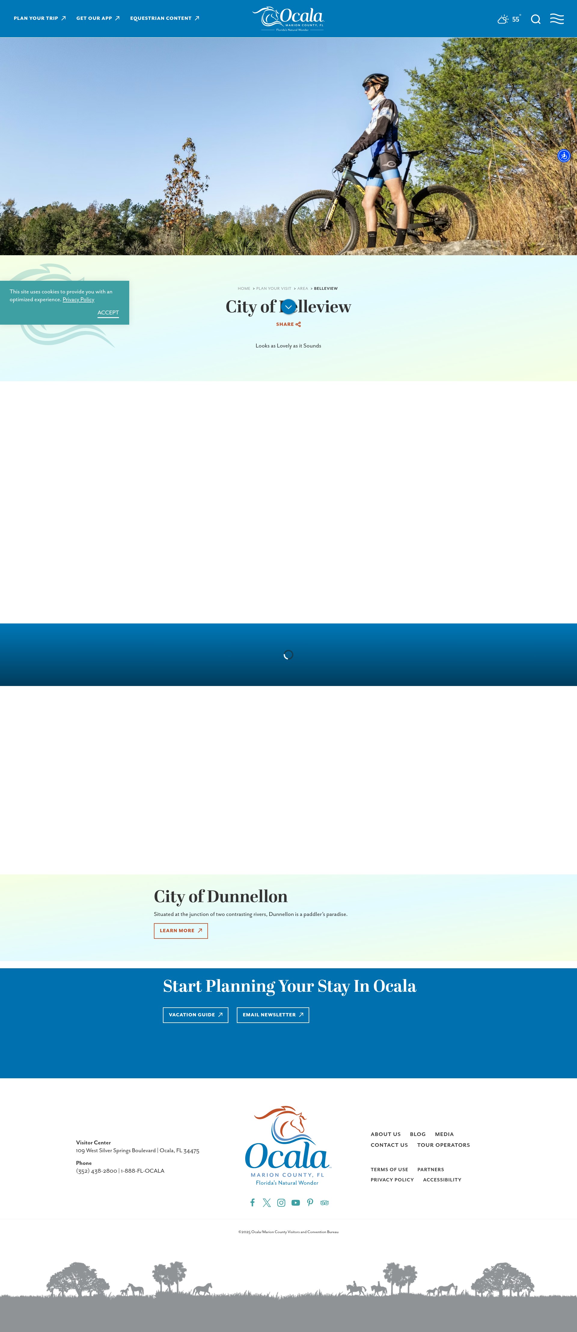 Screenshot of ocalamarion.com