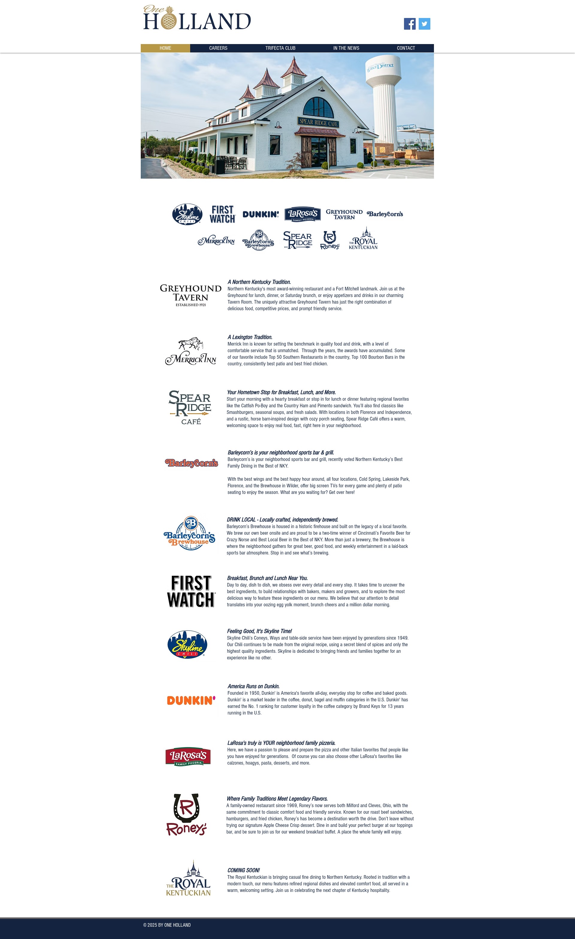 Screenshot of oneholland.com
