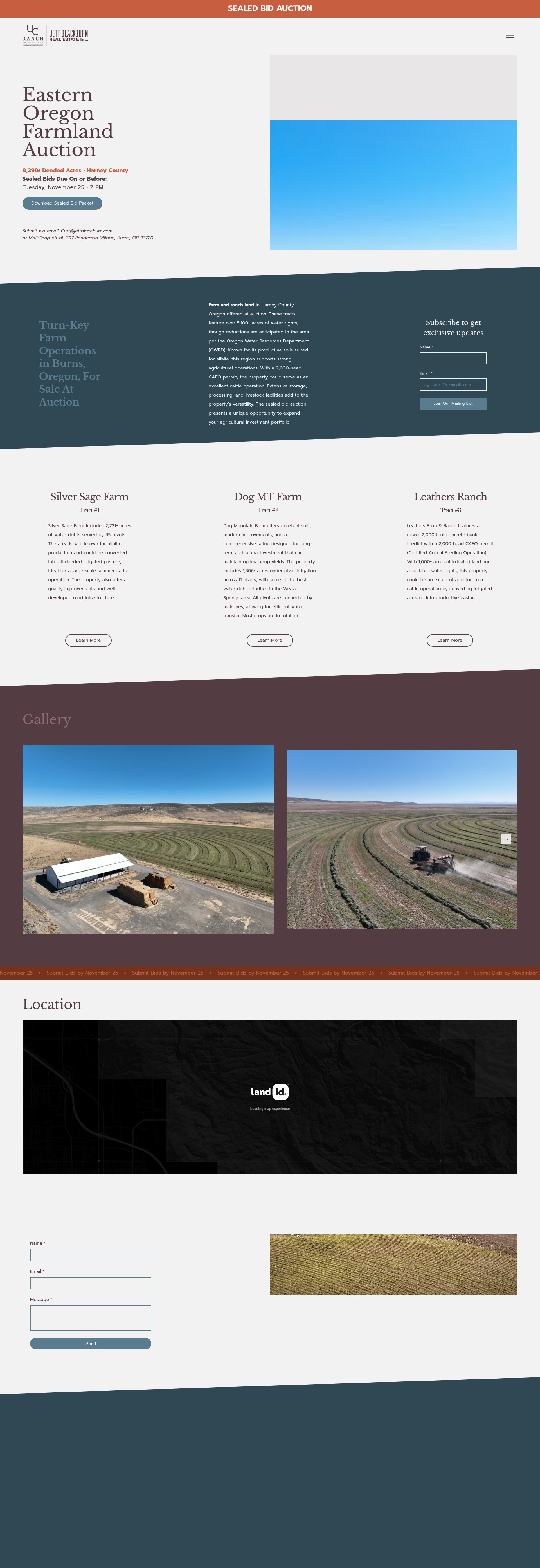 Screenshot of orlandauction.com