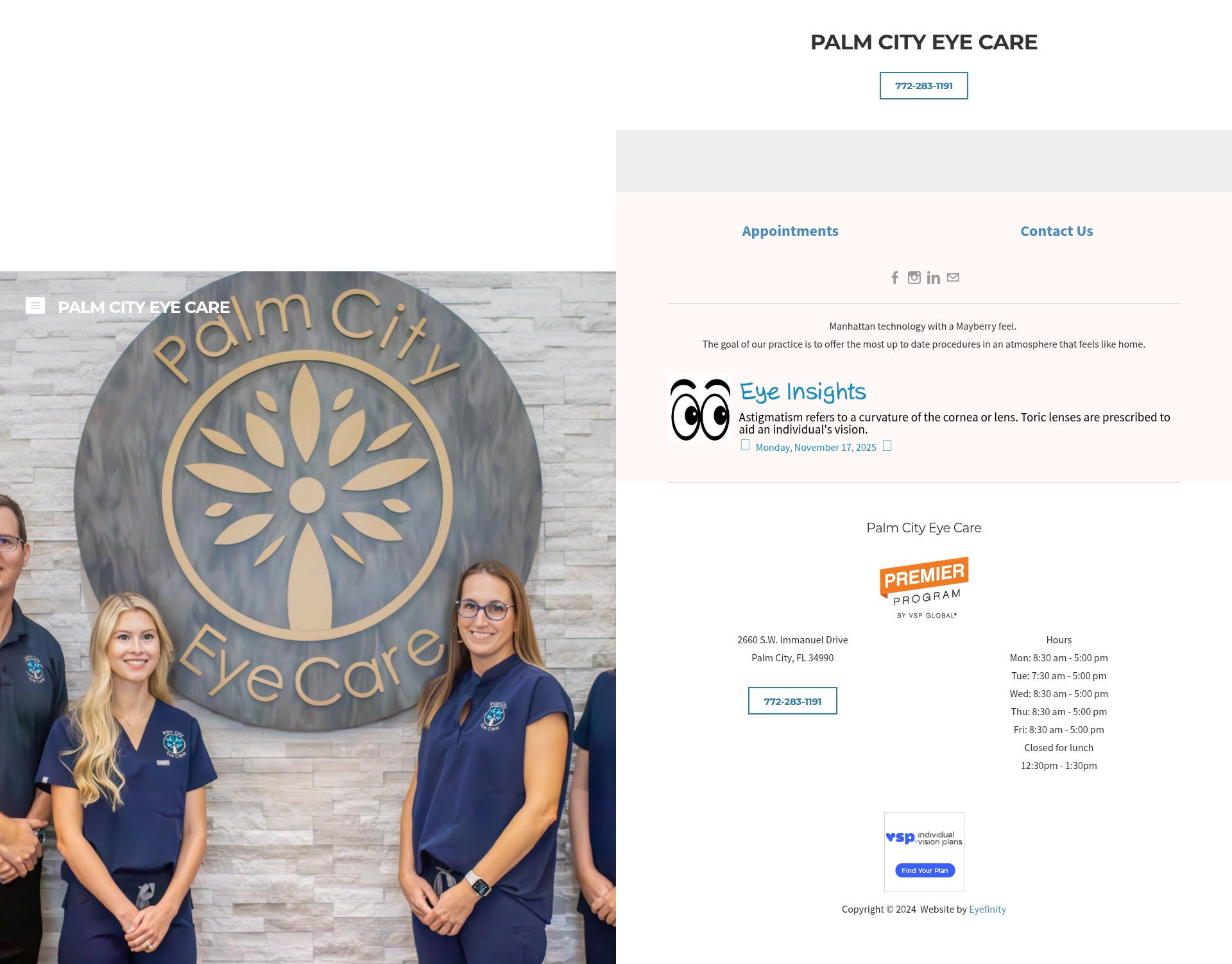 Screenshot of palmcityeye.com