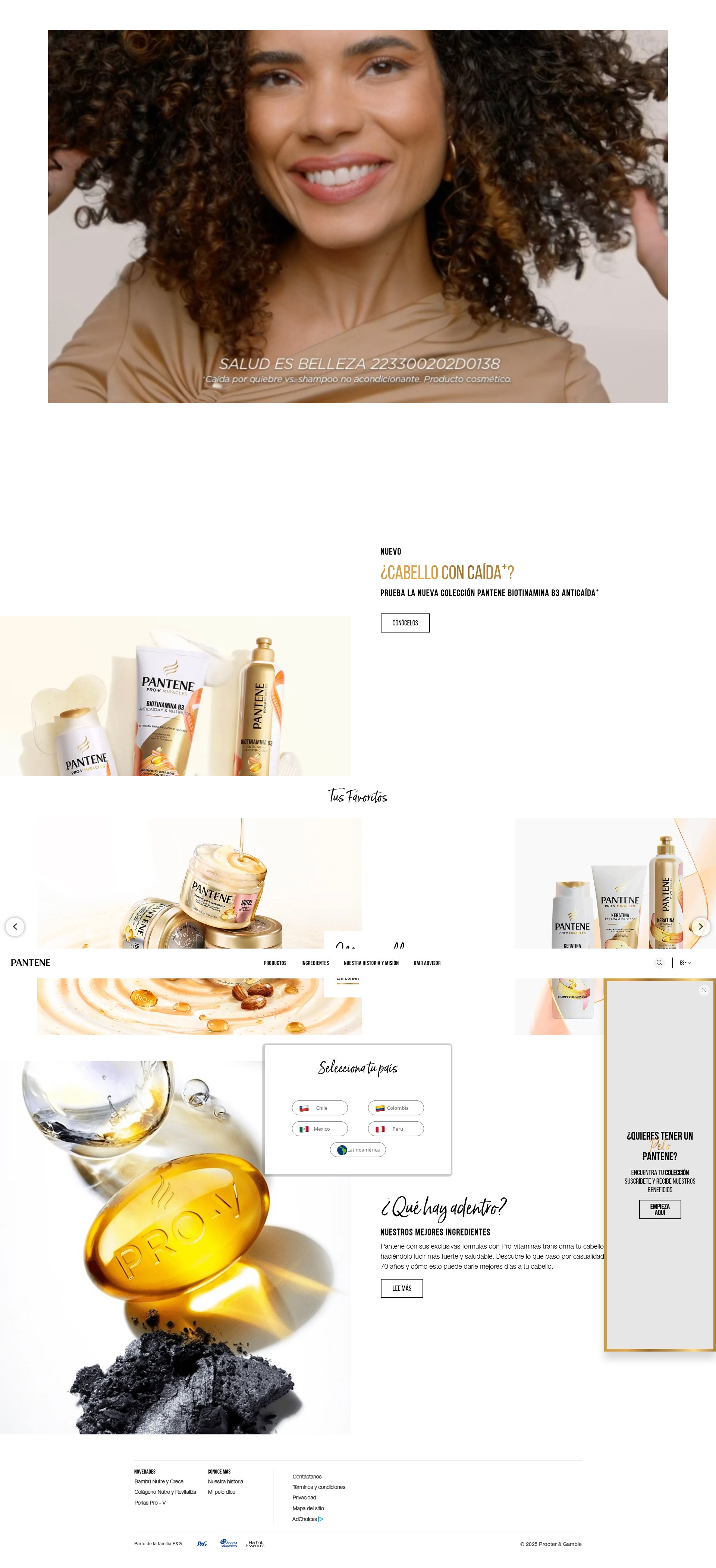 Screenshot of pantenela.com