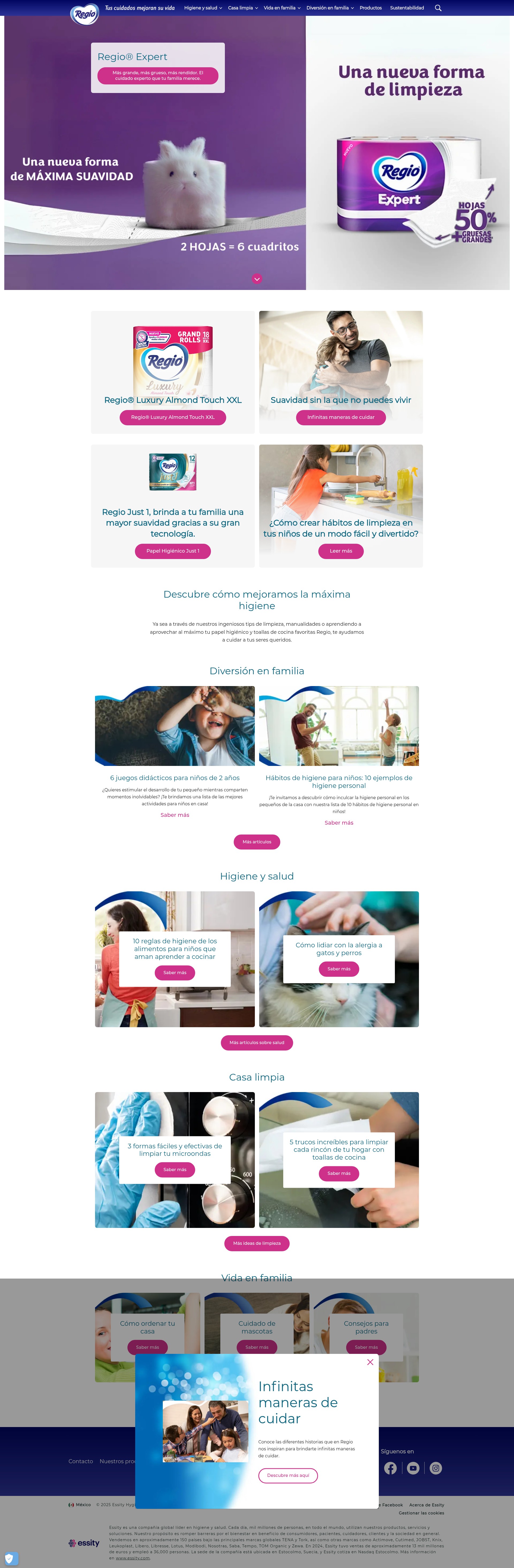 Screenshot of papelregio.com