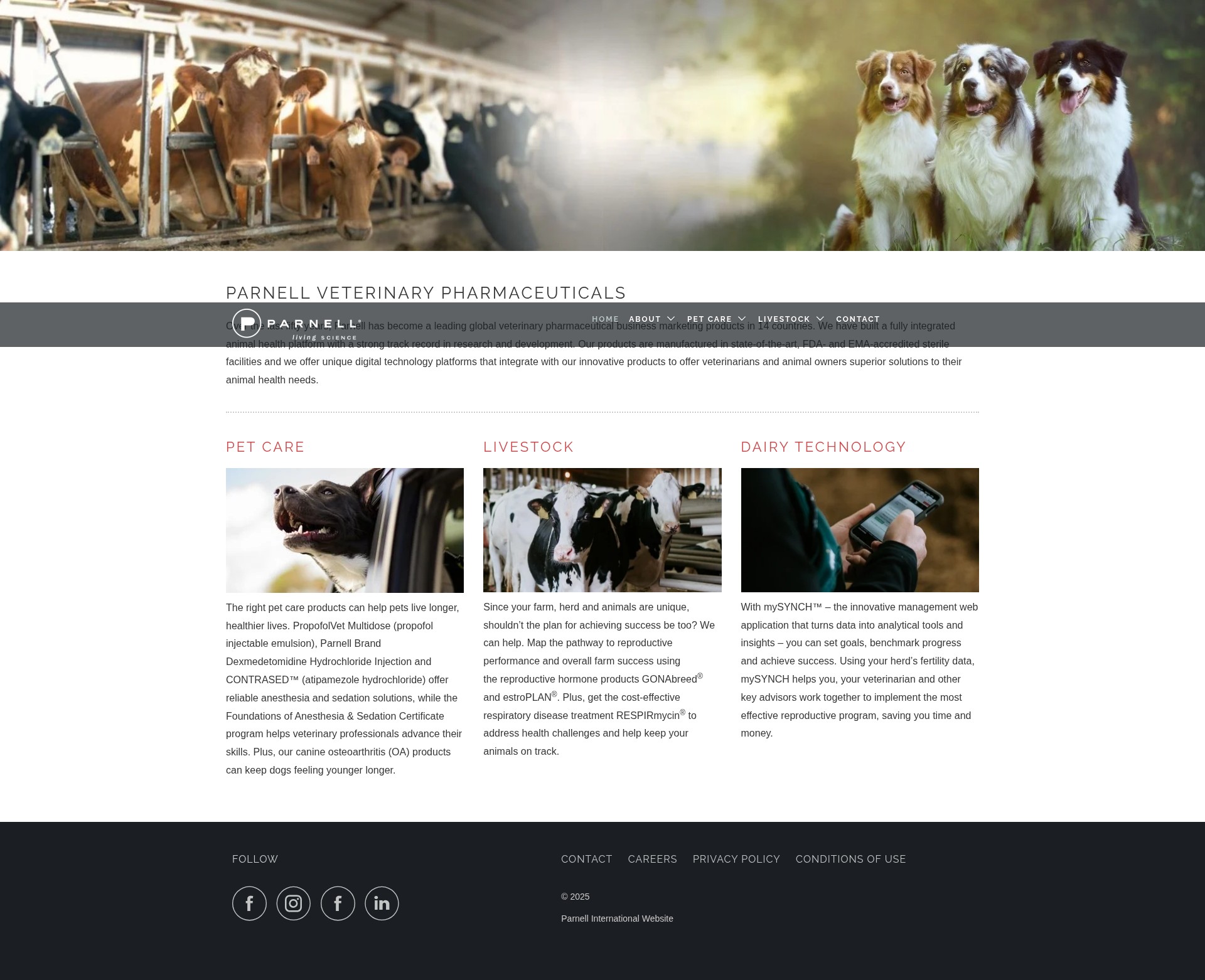 Screenshot of parnell.com