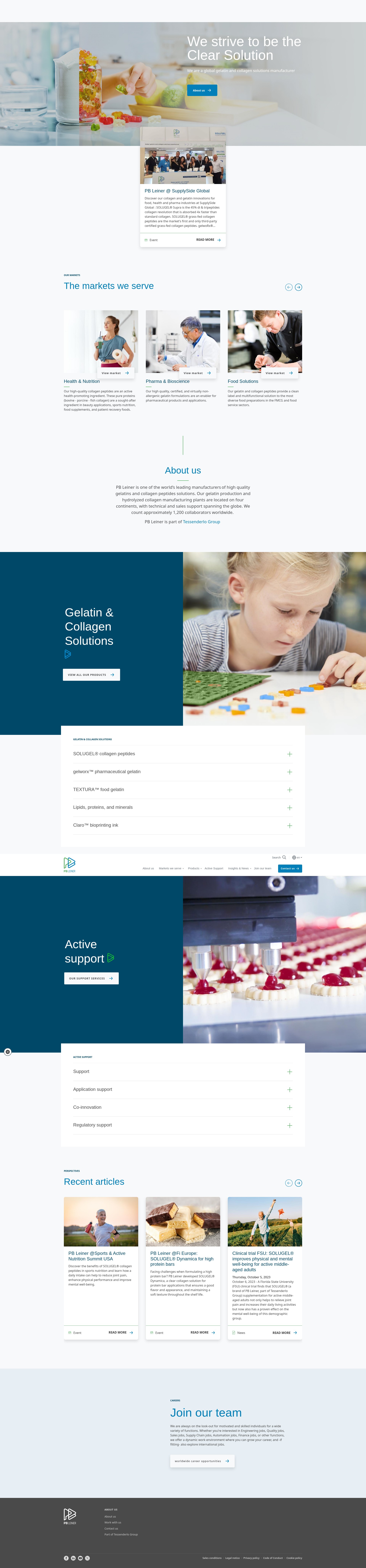 Screenshot of pbleiner.com