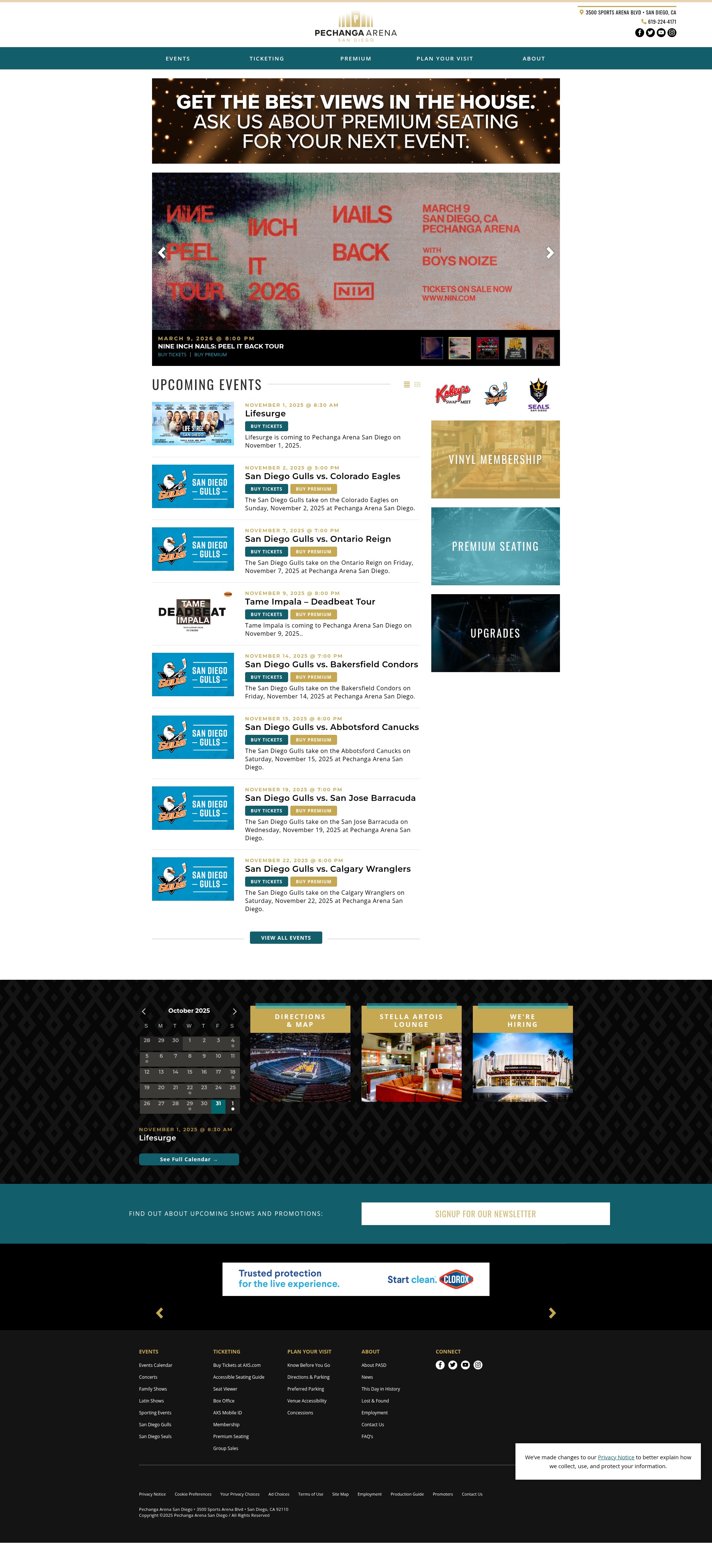 Screenshot of pechangaarenasd.com