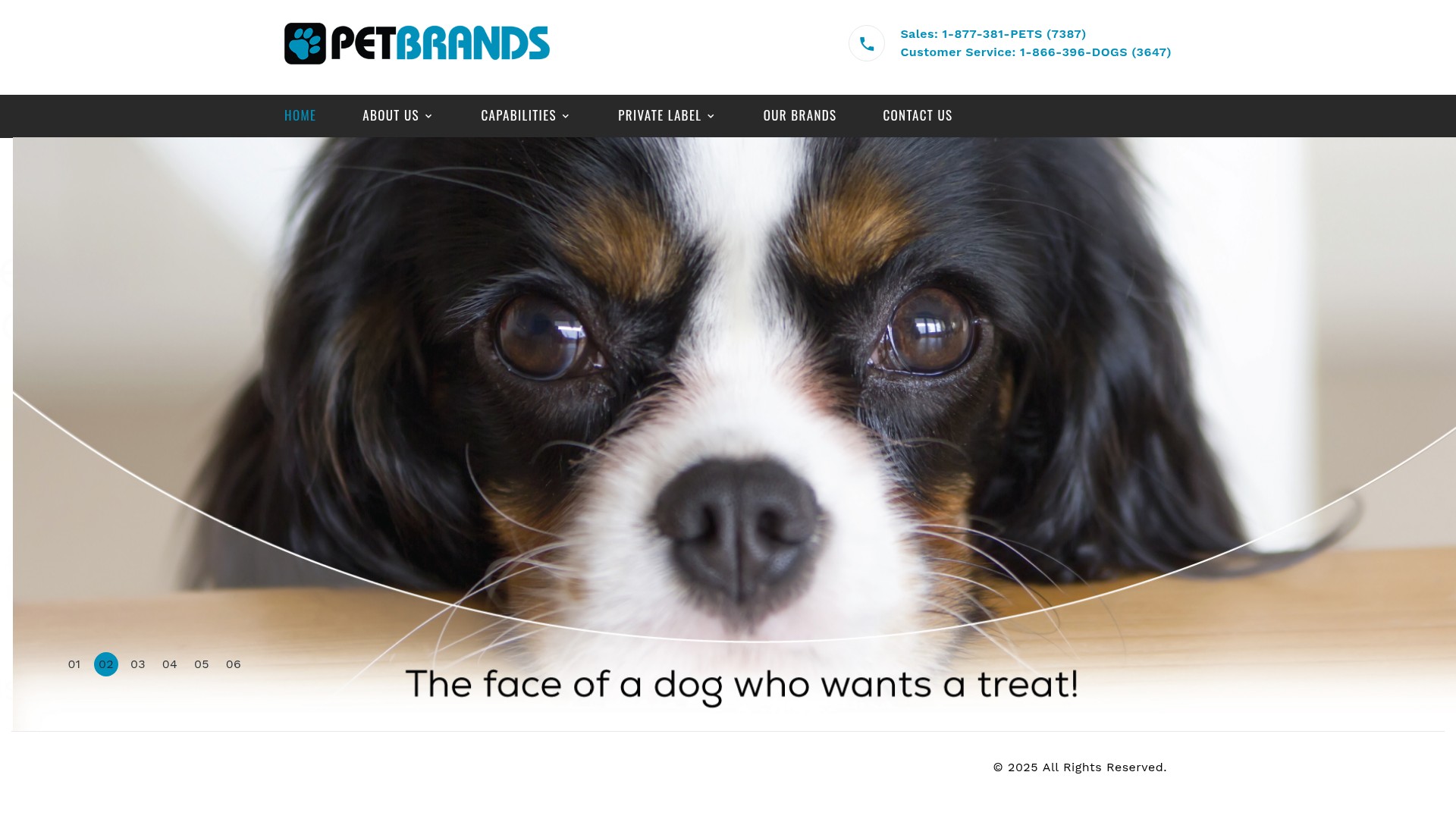 Screenshot of petbrand.com