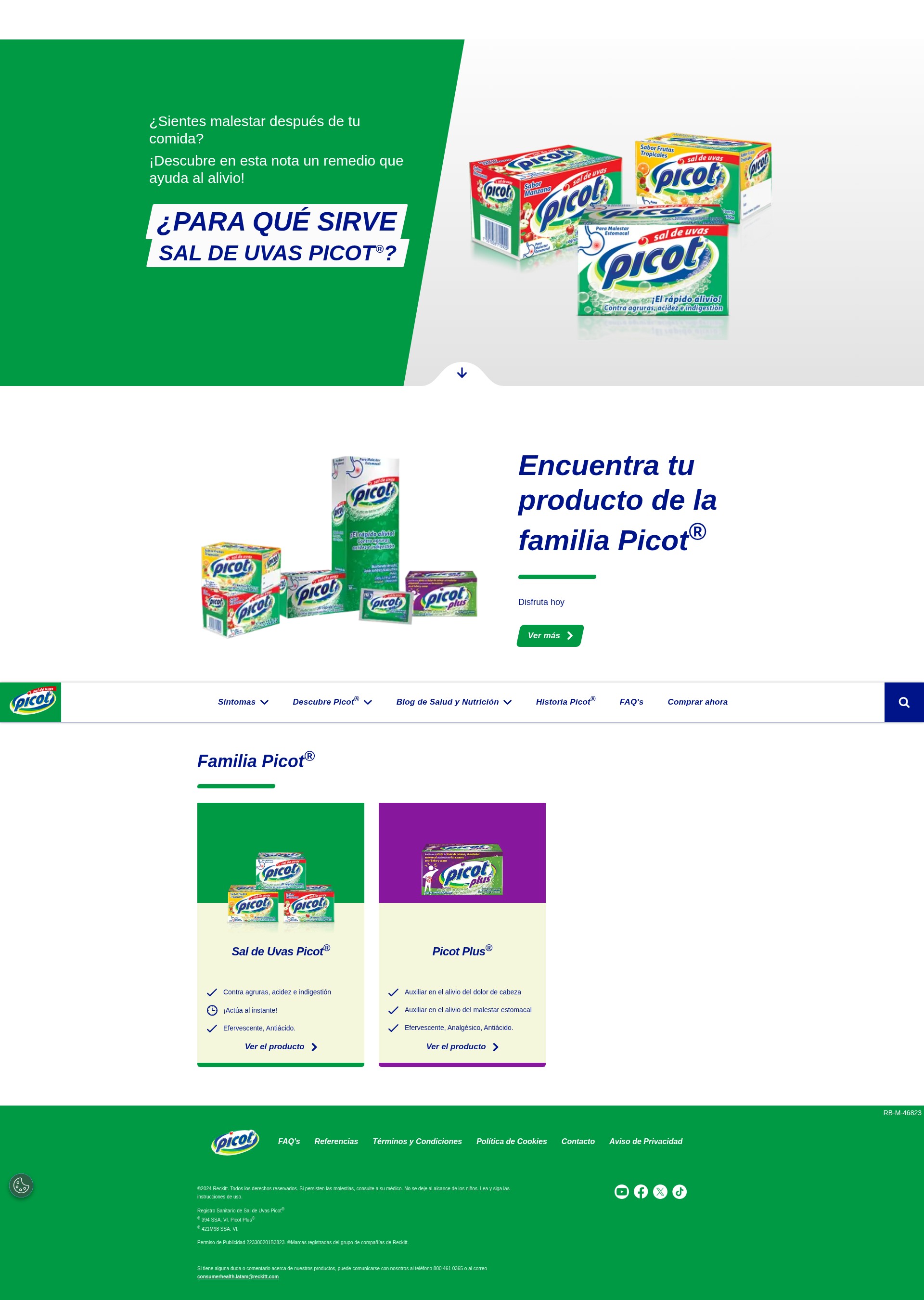 Screenshot of picot.com.mx