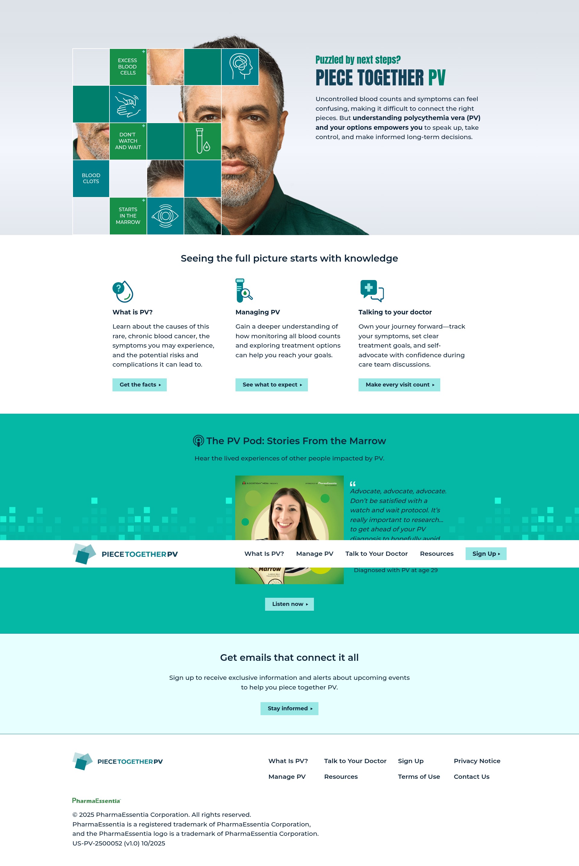 Screenshot of piecetogetherpv.com