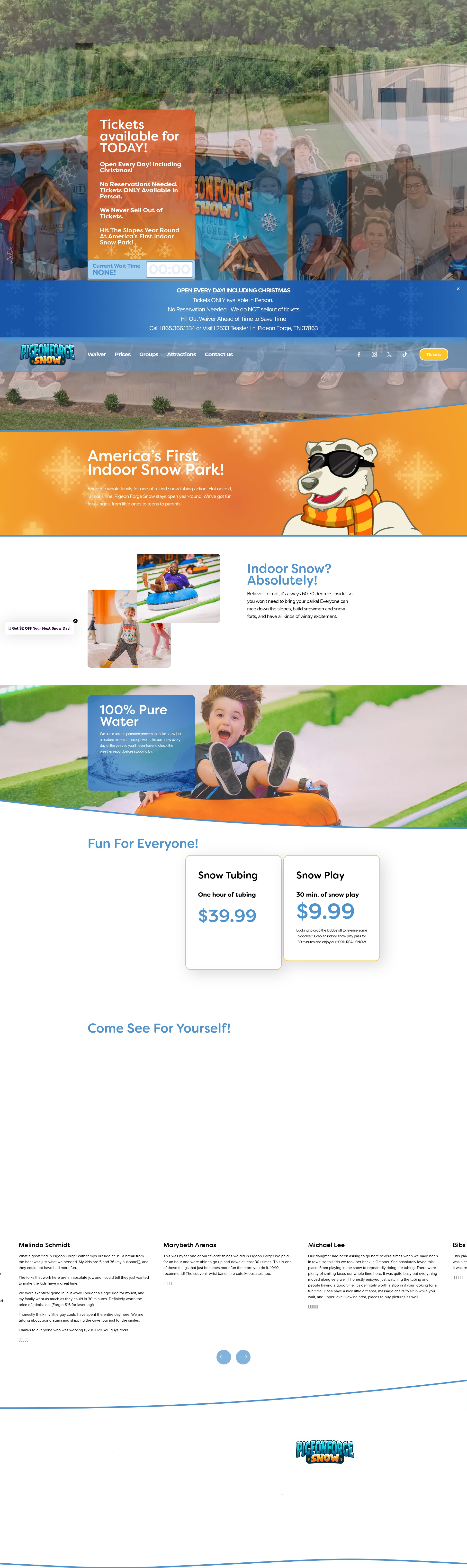 Screenshot of pigeonforgesnow.com