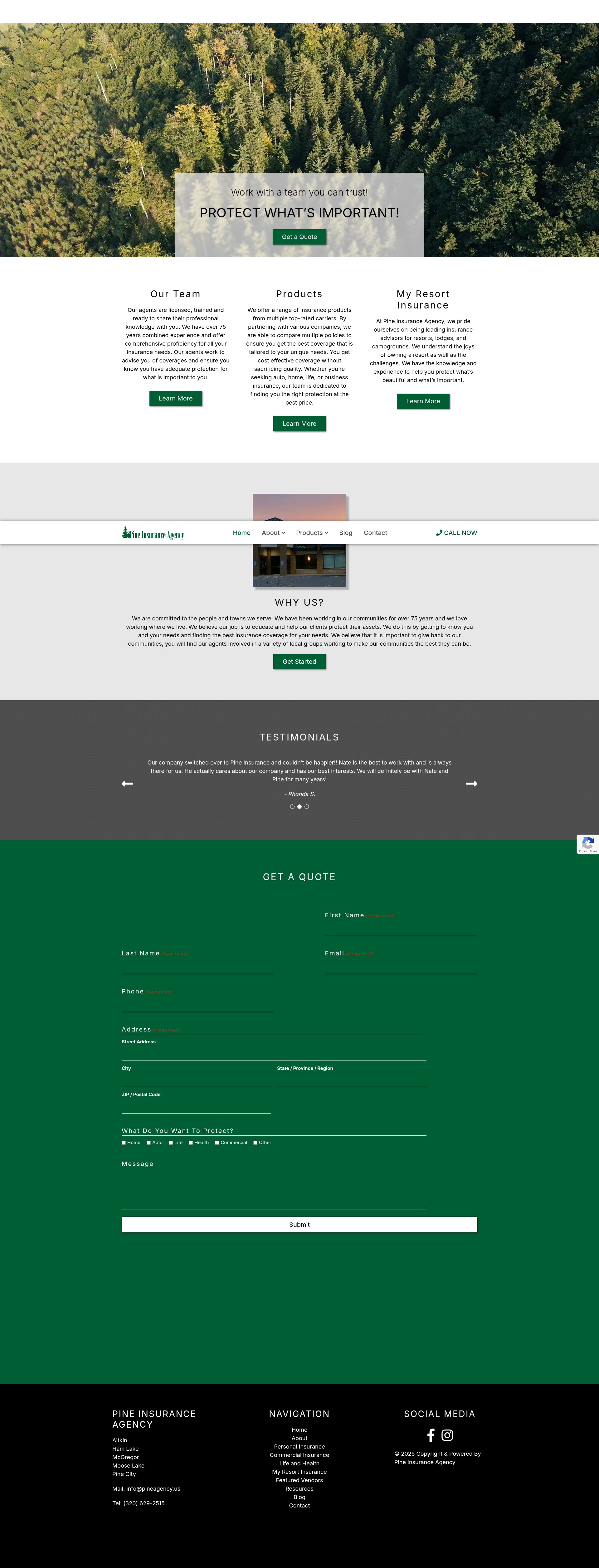 Screenshot of pineagency.us