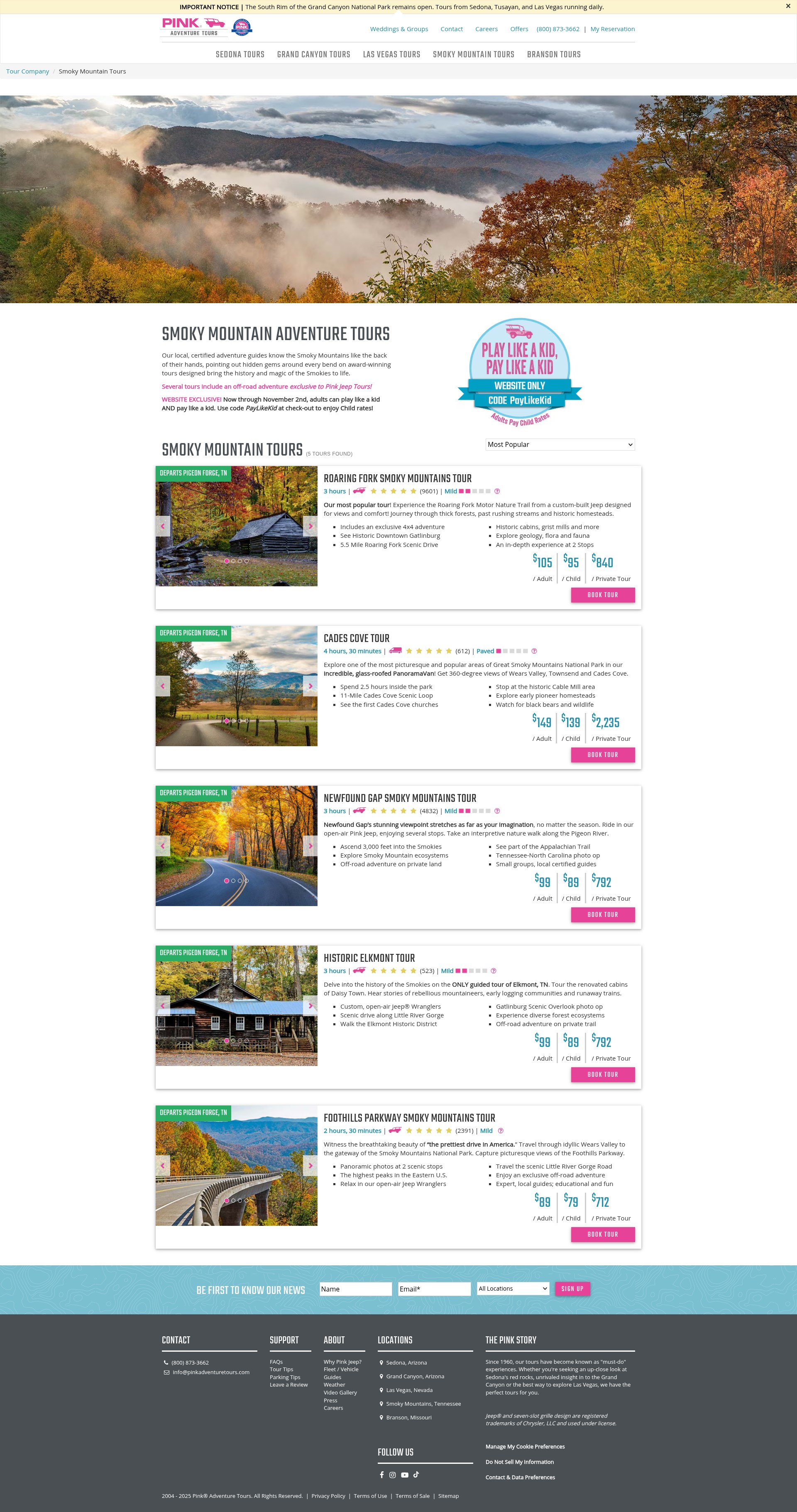 Screenshot of pinkadventuretours.com
