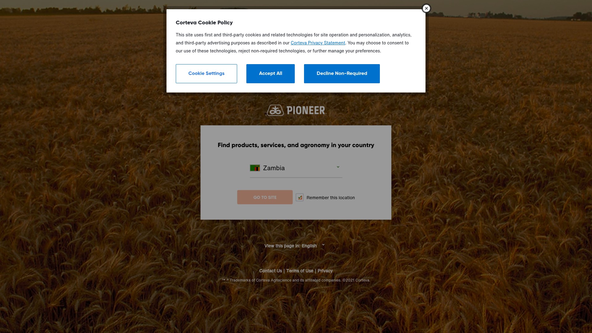 Screenshot of pioneer.com