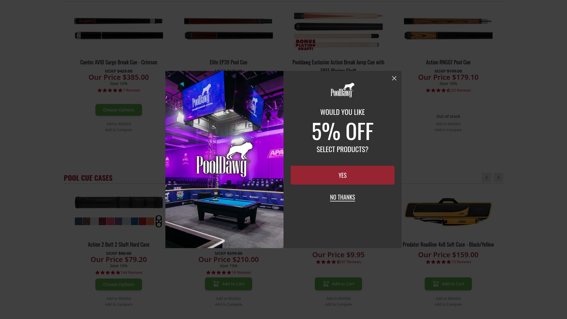 Screenshot of pooldawg.com